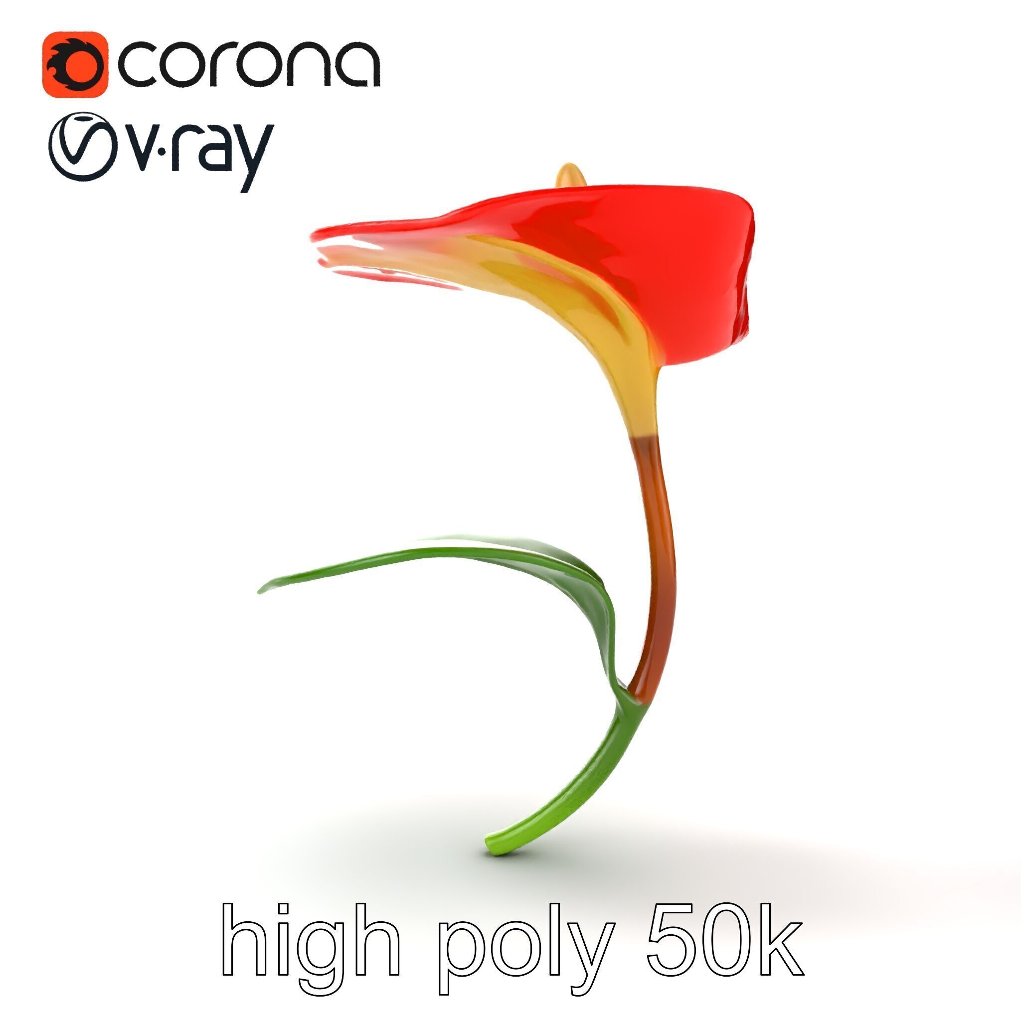 Miniature Anthurium Minor with Bright Petals model pack Low-poly 3D model_21