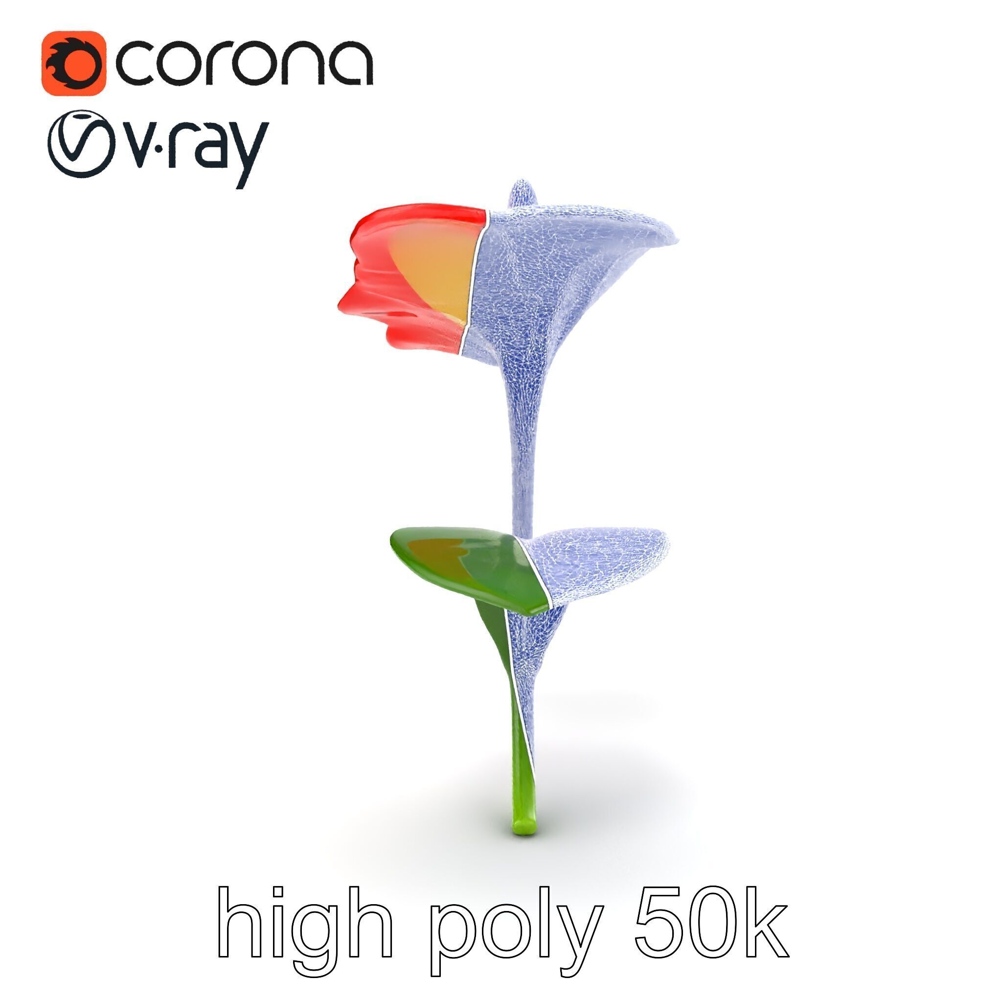 Miniature Anthurium Minor with Bright Petals model pack Low-poly 3D model_24