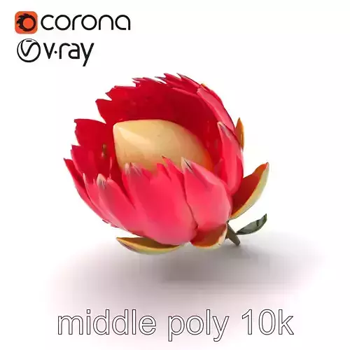 Protea cynaroides Flower Sculpture model pack Low-poly 3D model