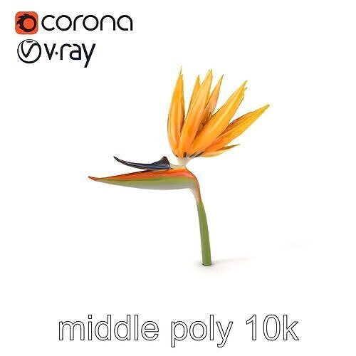 Radiant Strelitzia Yellow Flower model pack Low-poly 3D model