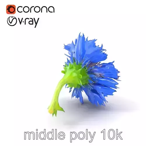 Blue Cornflower Realistic Flower 3D Model Pack Low-poly 3D model