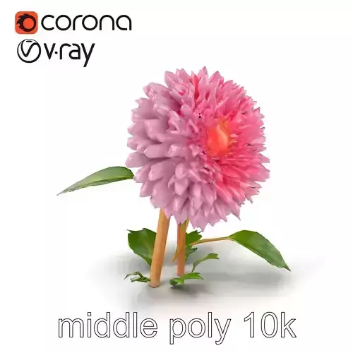 Chrysanthemum Grandiflora Velvet Petals model pack Low-poly 3D model