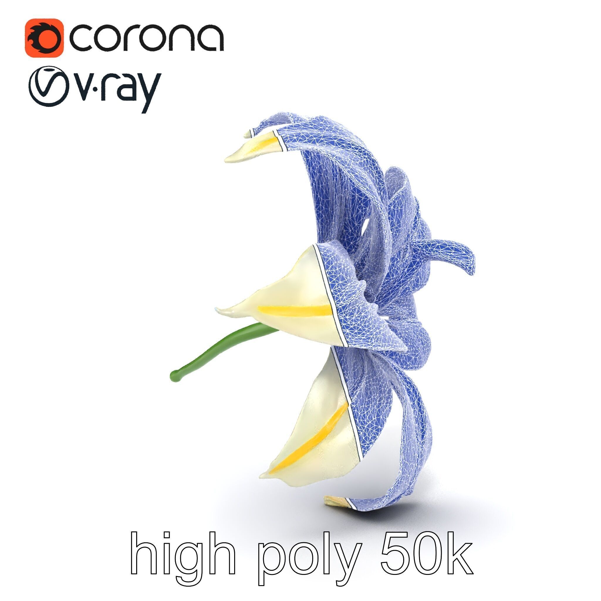 Golden Lily Flower model pack Low-poly 3D model_26
