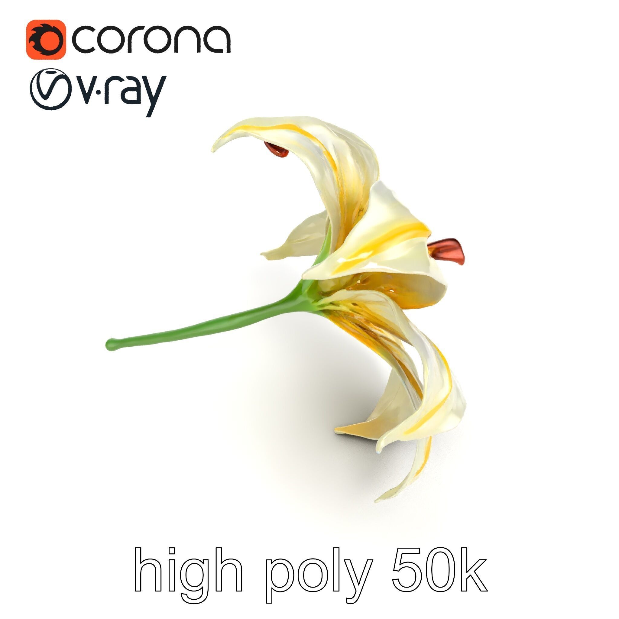 Golden Lily Flower model pack Low-poly 3D model_14