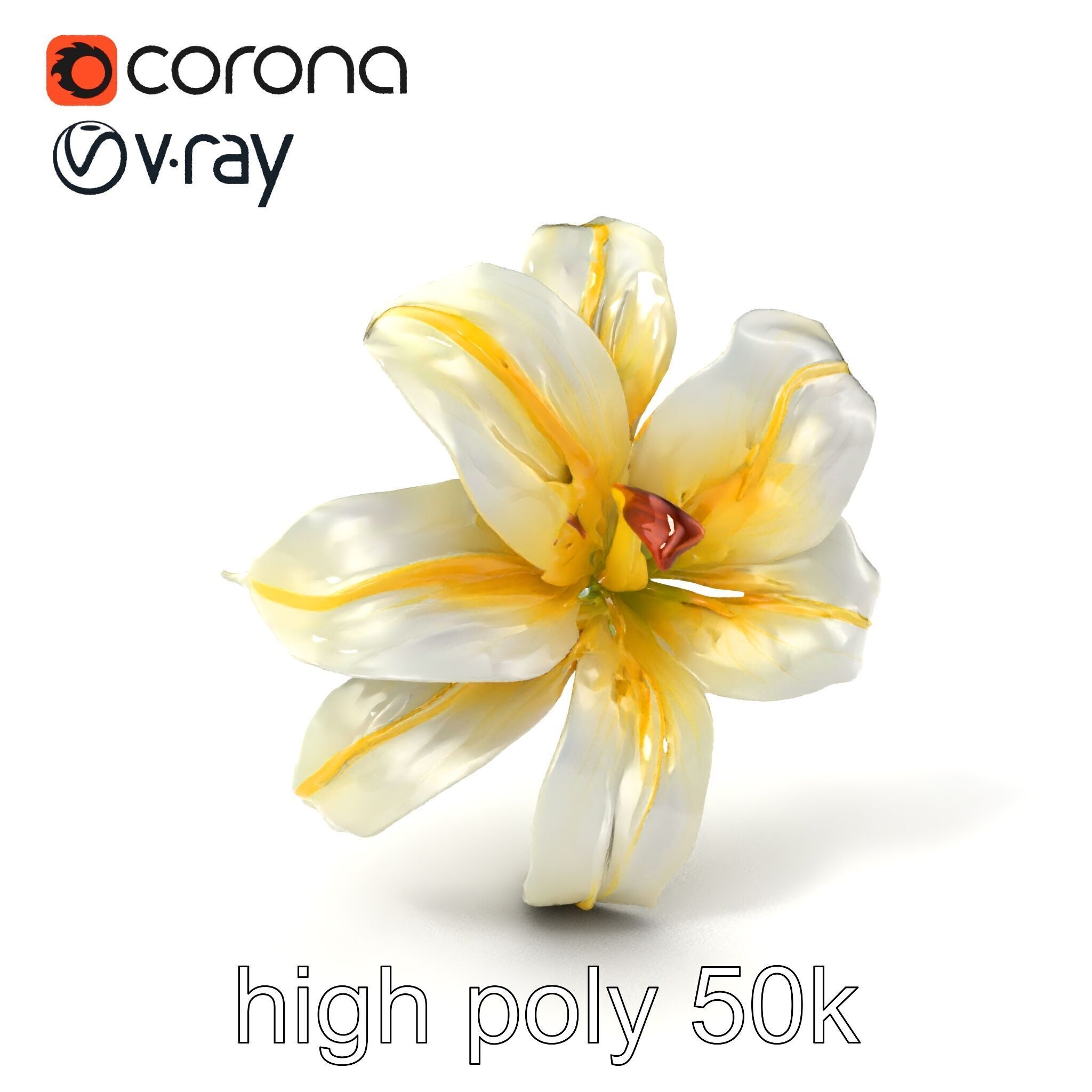 Golden Lily Flower model pack Low-poly 3D model_2