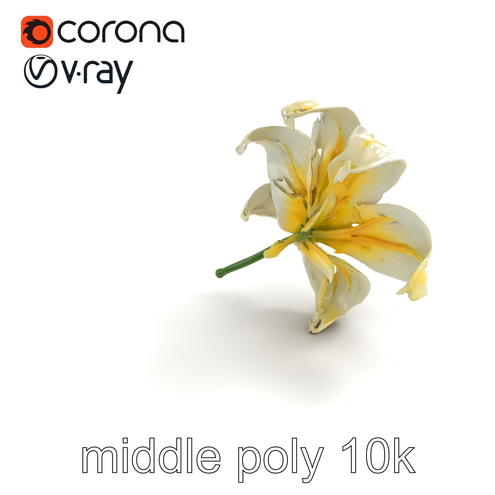 Golden Lily Flower model pack Low-poly 3D model_8