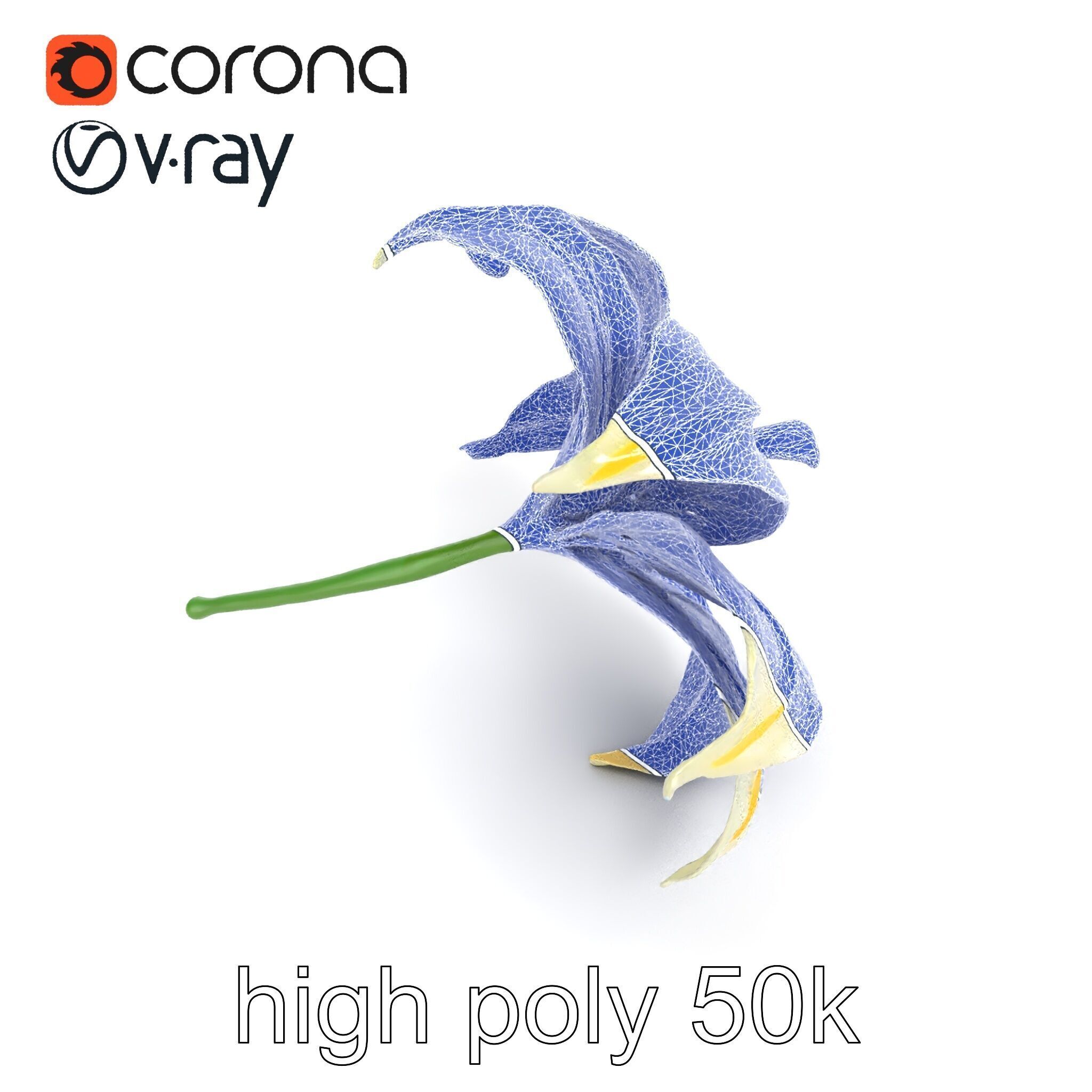 Golden Lily Flower model pack Low-poly 3D model_18