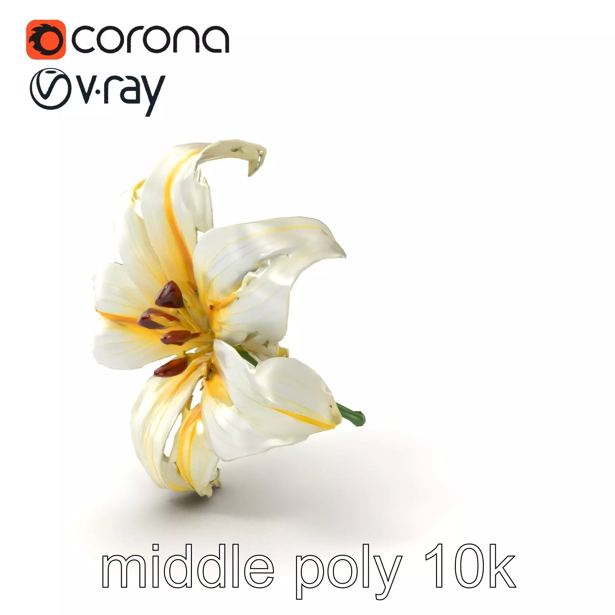 Golden Lily Flower model pack Low-poly 3D model_0