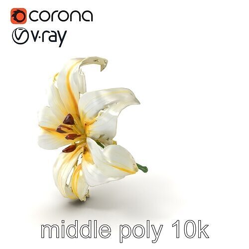 Golden Lily Flower model pack Low-poly 3D model
