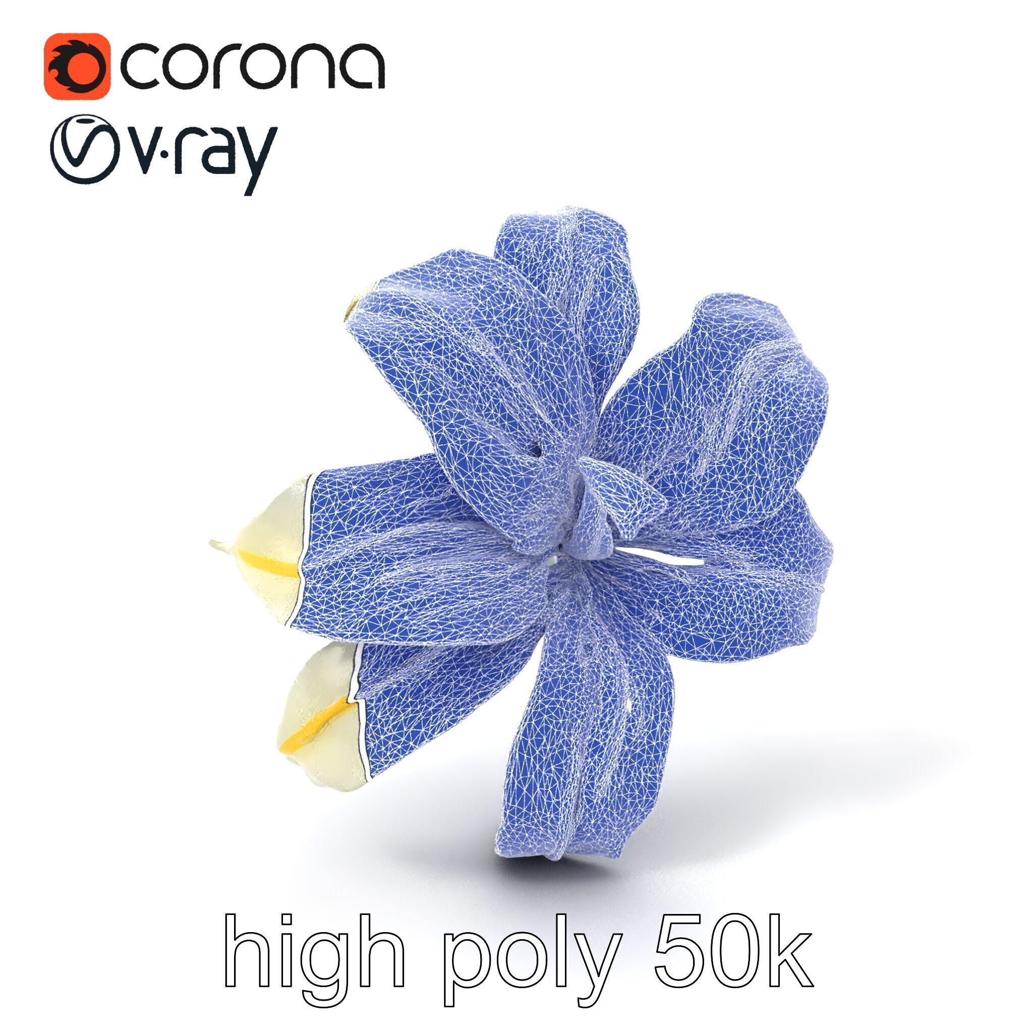 Golden Lily Flower model pack Low-poly 3D model_10