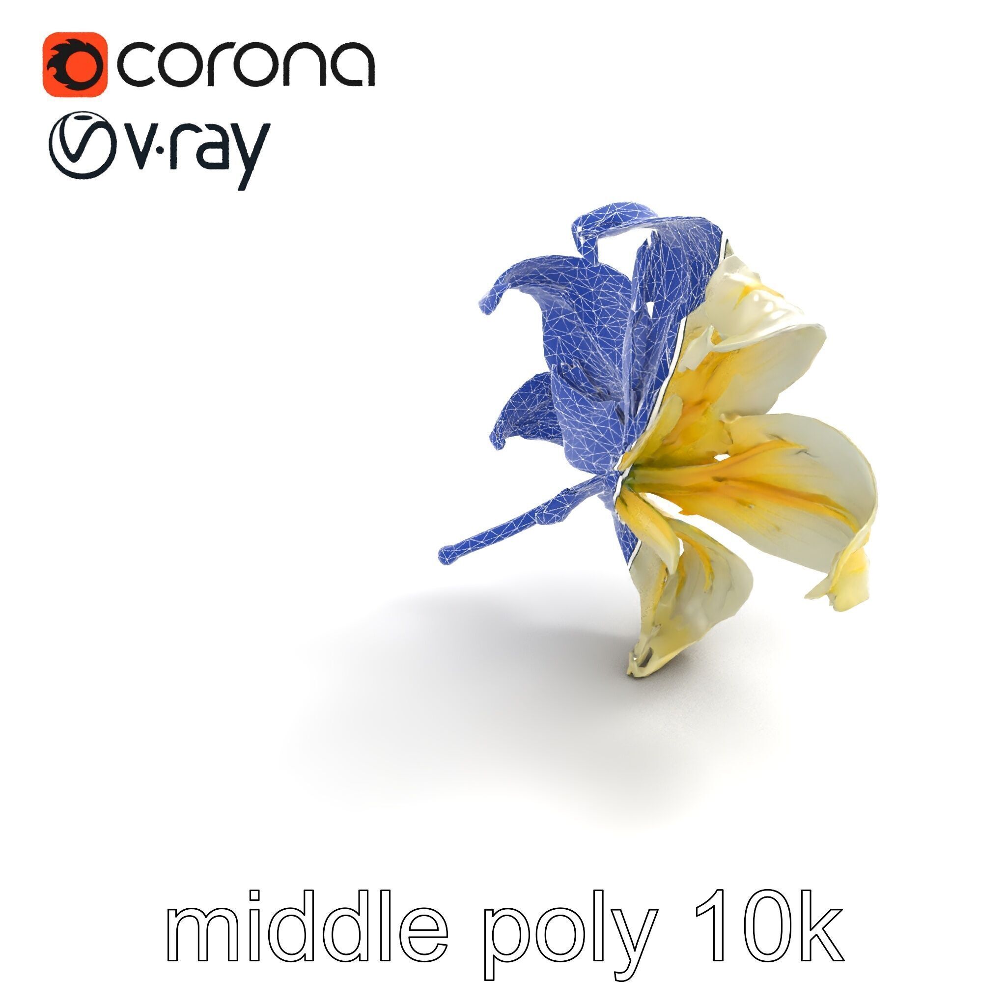Golden Lily Flower model pack Low-poly 3D model_11