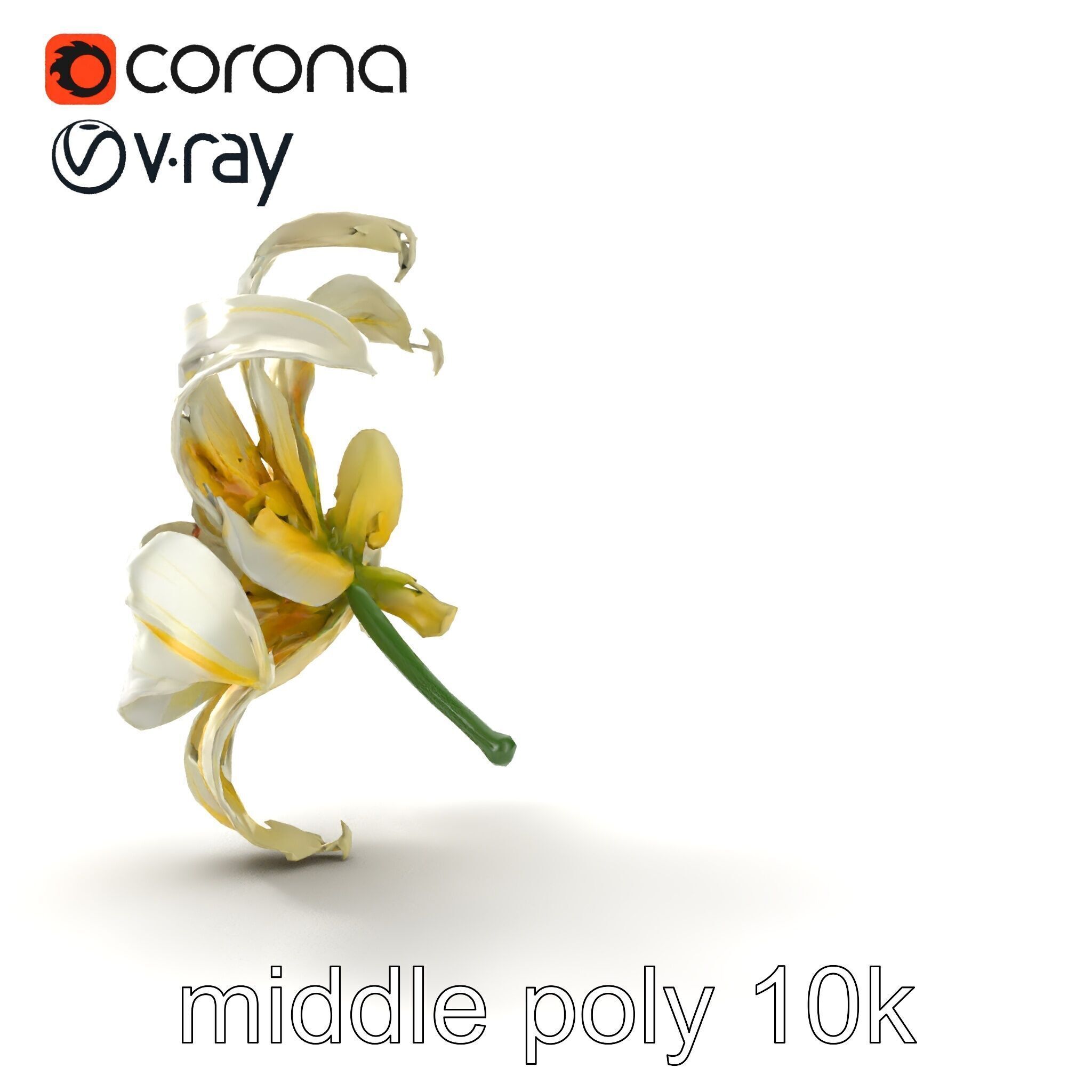 Golden Lily Flower model pack Low-poly 3D model_29