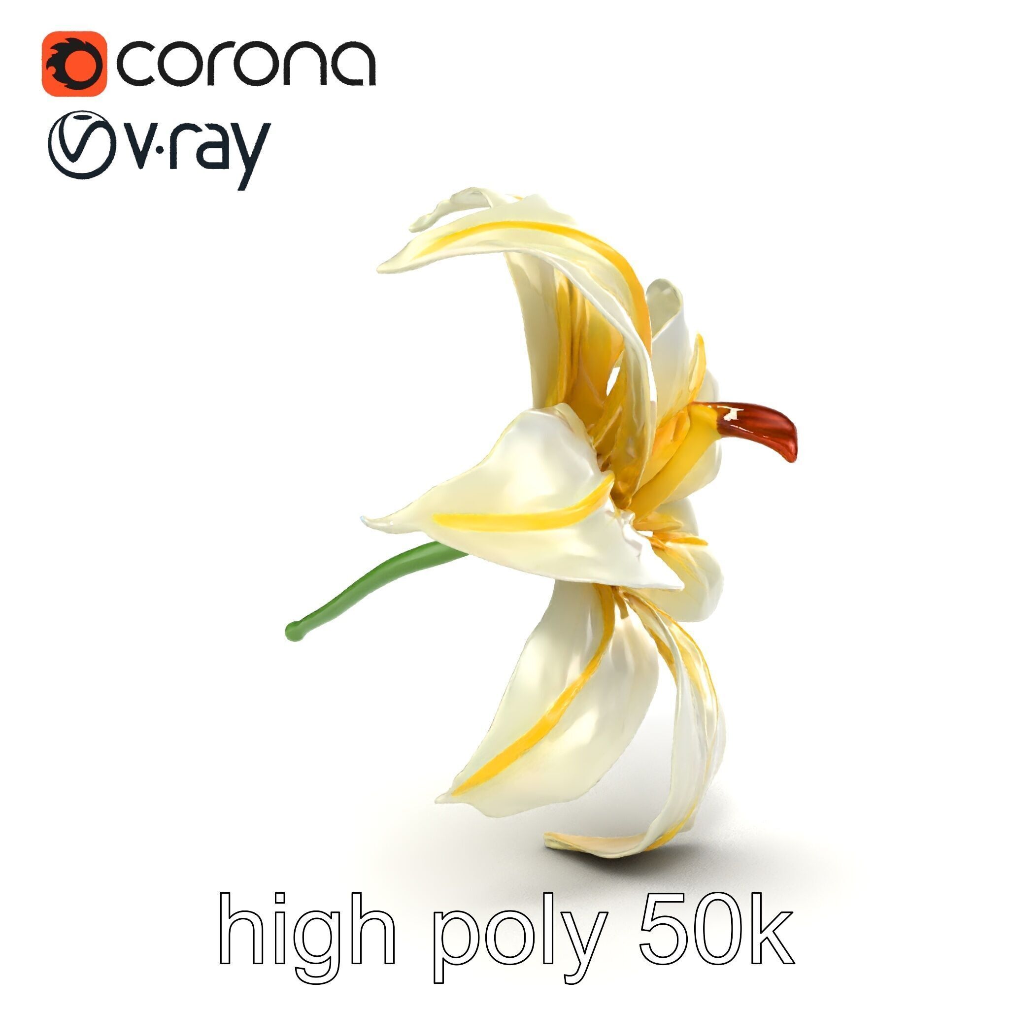 Golden Lily Flower model pack Low-poly 3D model_13