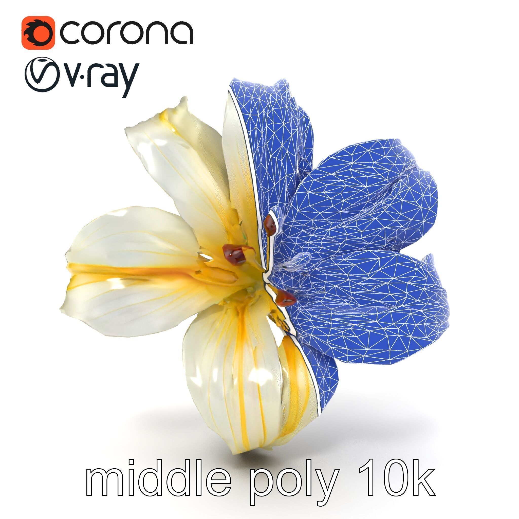 Golden Lily Flower model pack Low-poly 3D model_31