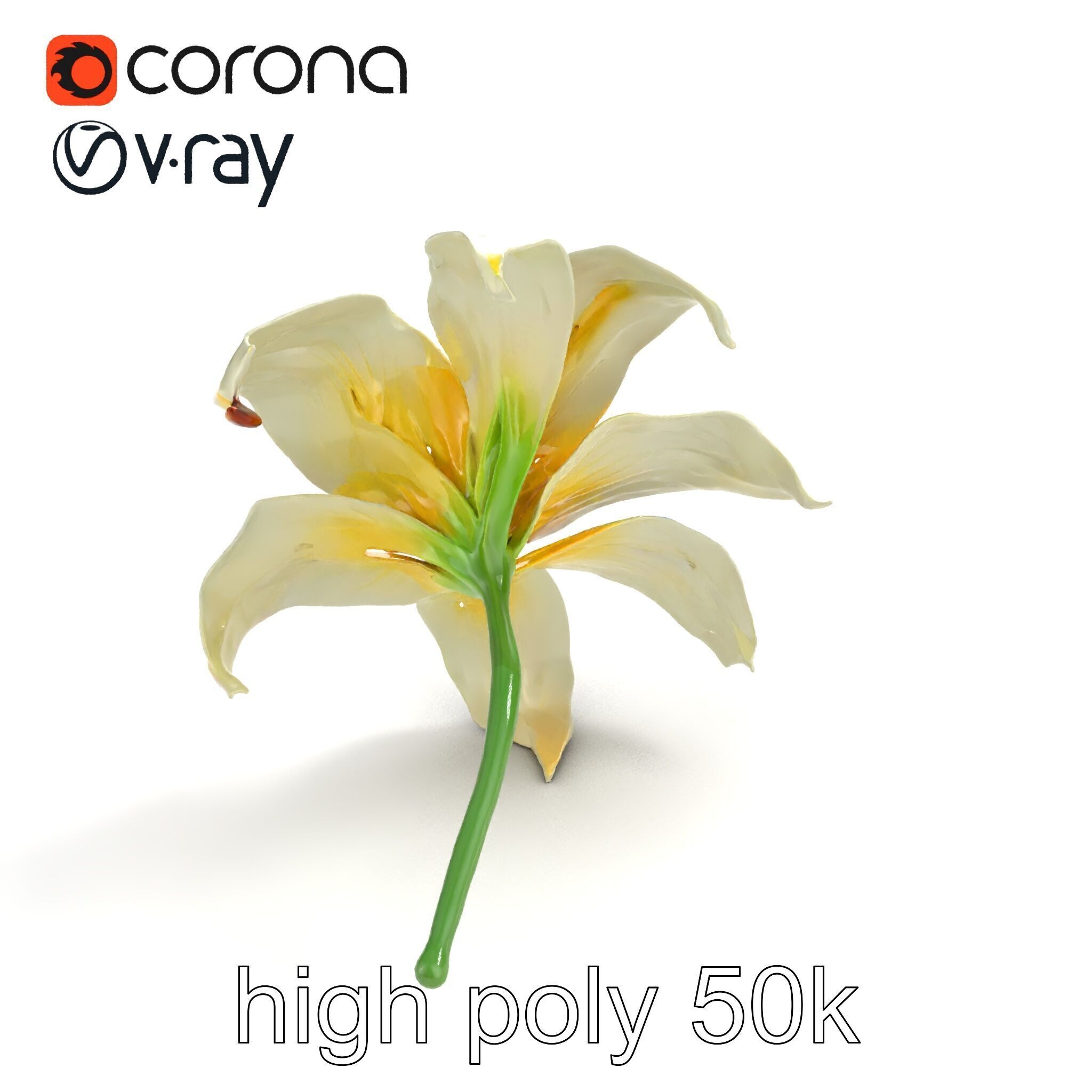 Golden Lily Flower model pack Low-poly 3D model_25