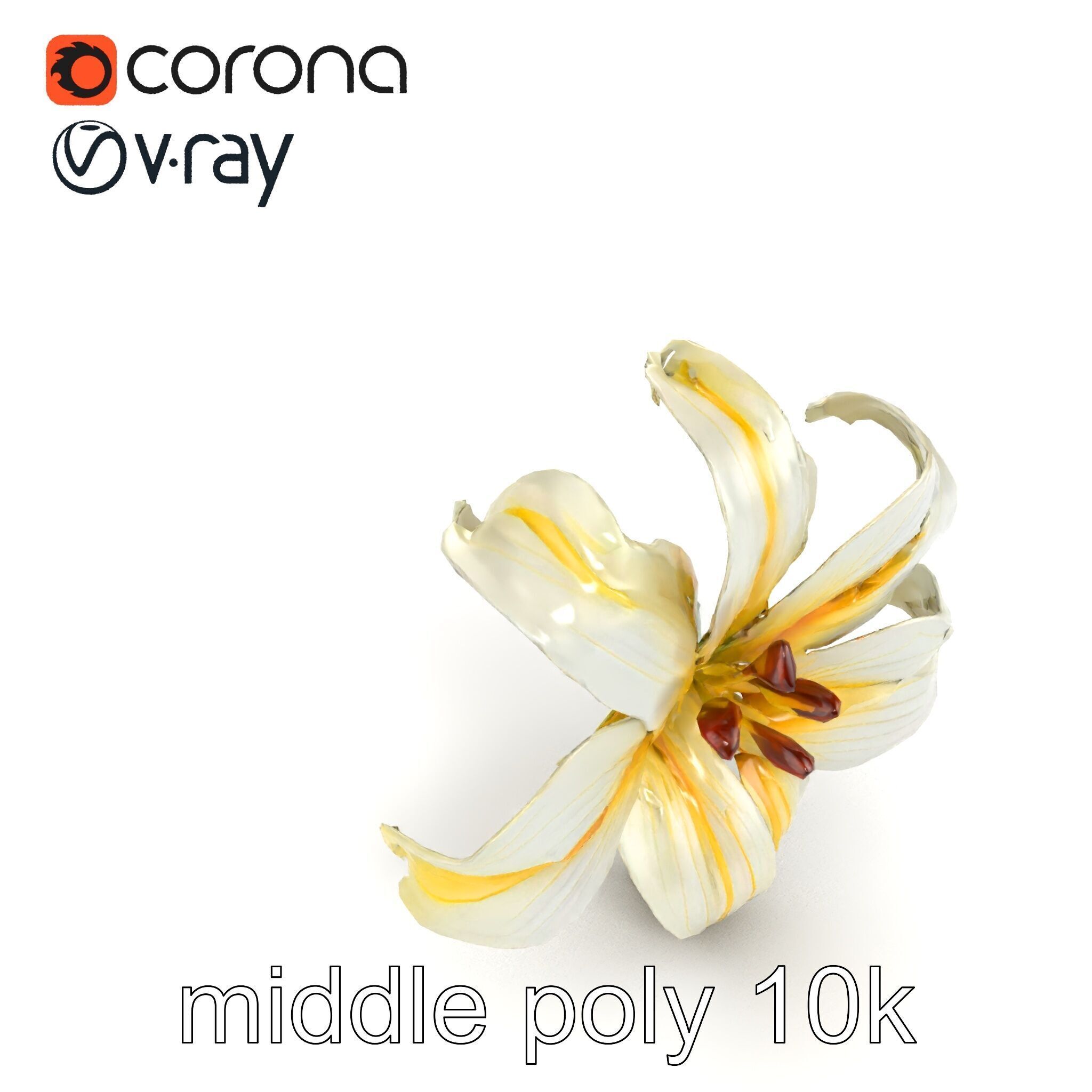 Golden Lily Flower model pack Low-poly 3D model_17