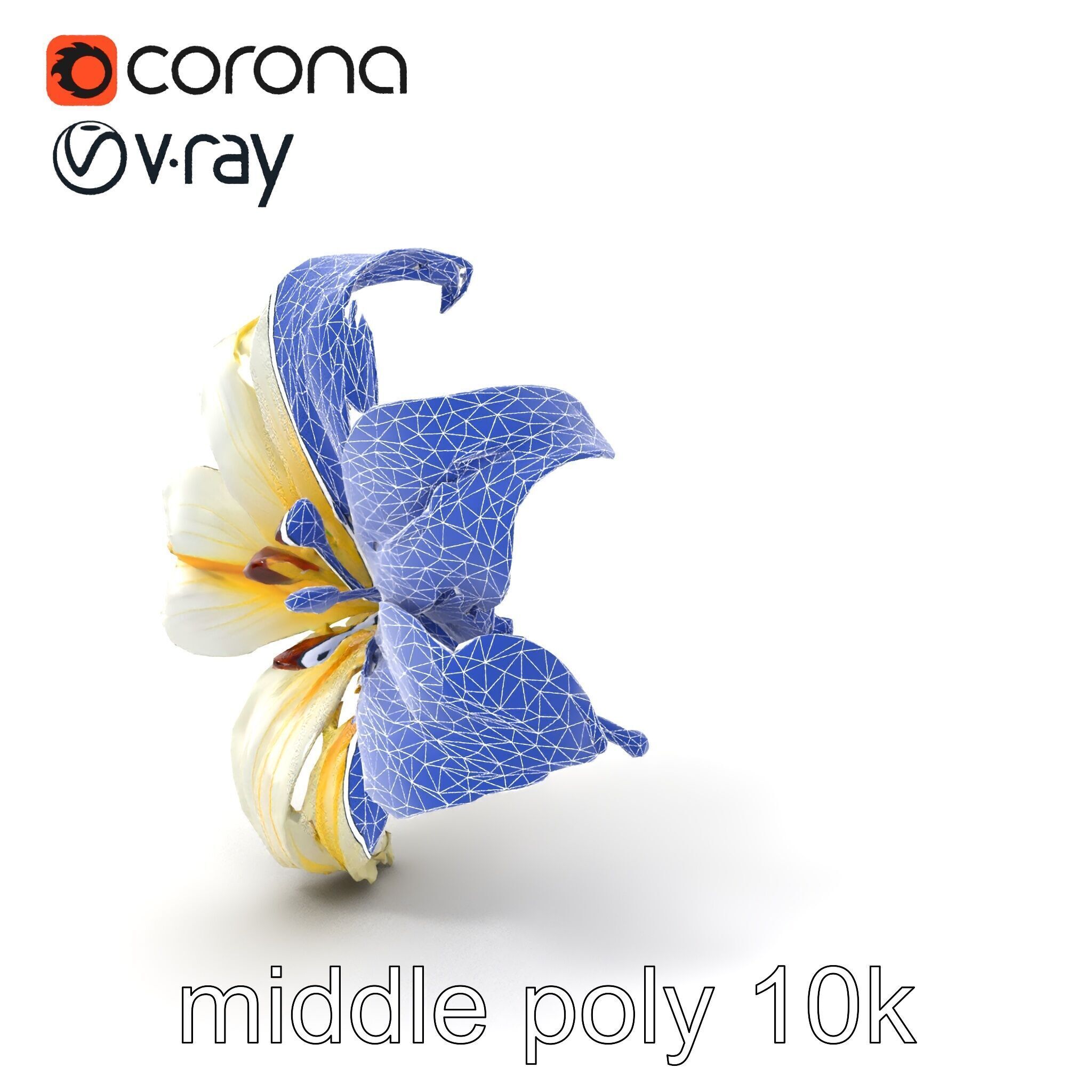Golden Lily Flower model pack Low-poly 3D model_6