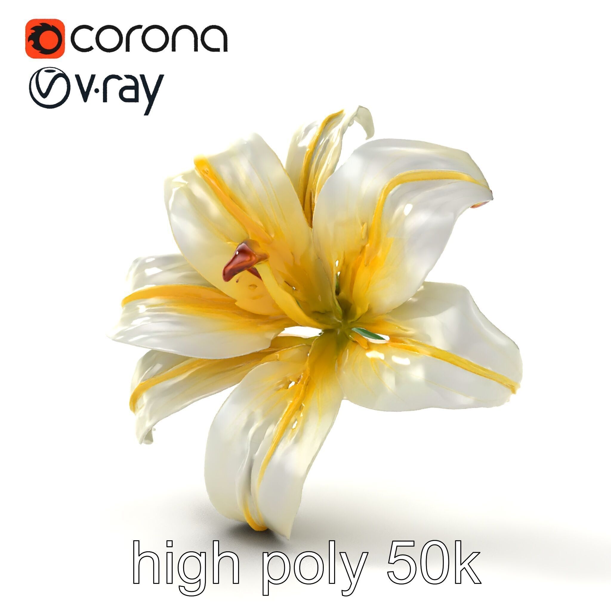 Golden Lily Flower model pack Low-poly 3D model_28