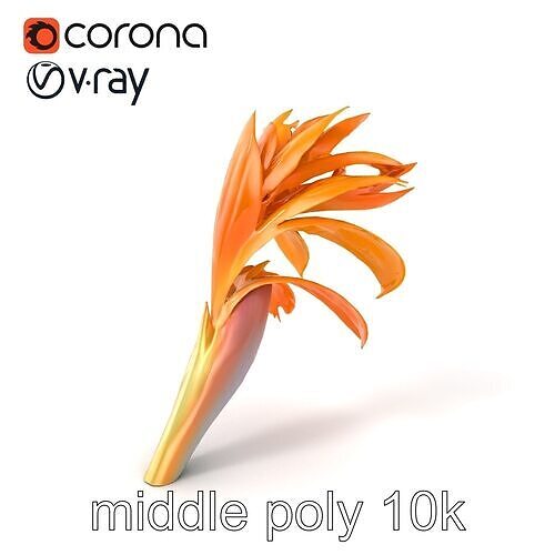 Alpine Strelitzia Elegant Flower Model Pack Low-poly 3D model