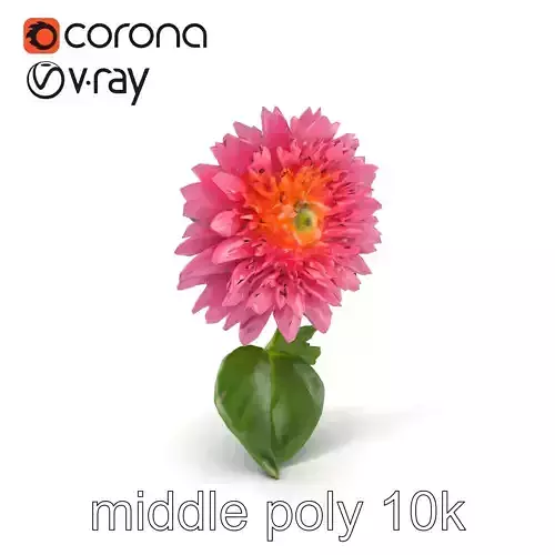 Chrysanthemum Pink Blossom Realistic Flower model pack Low-poly 3D model