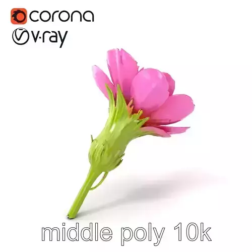 Pink Cornflower Botanical Sculpture model pack Low-poly 3D model
