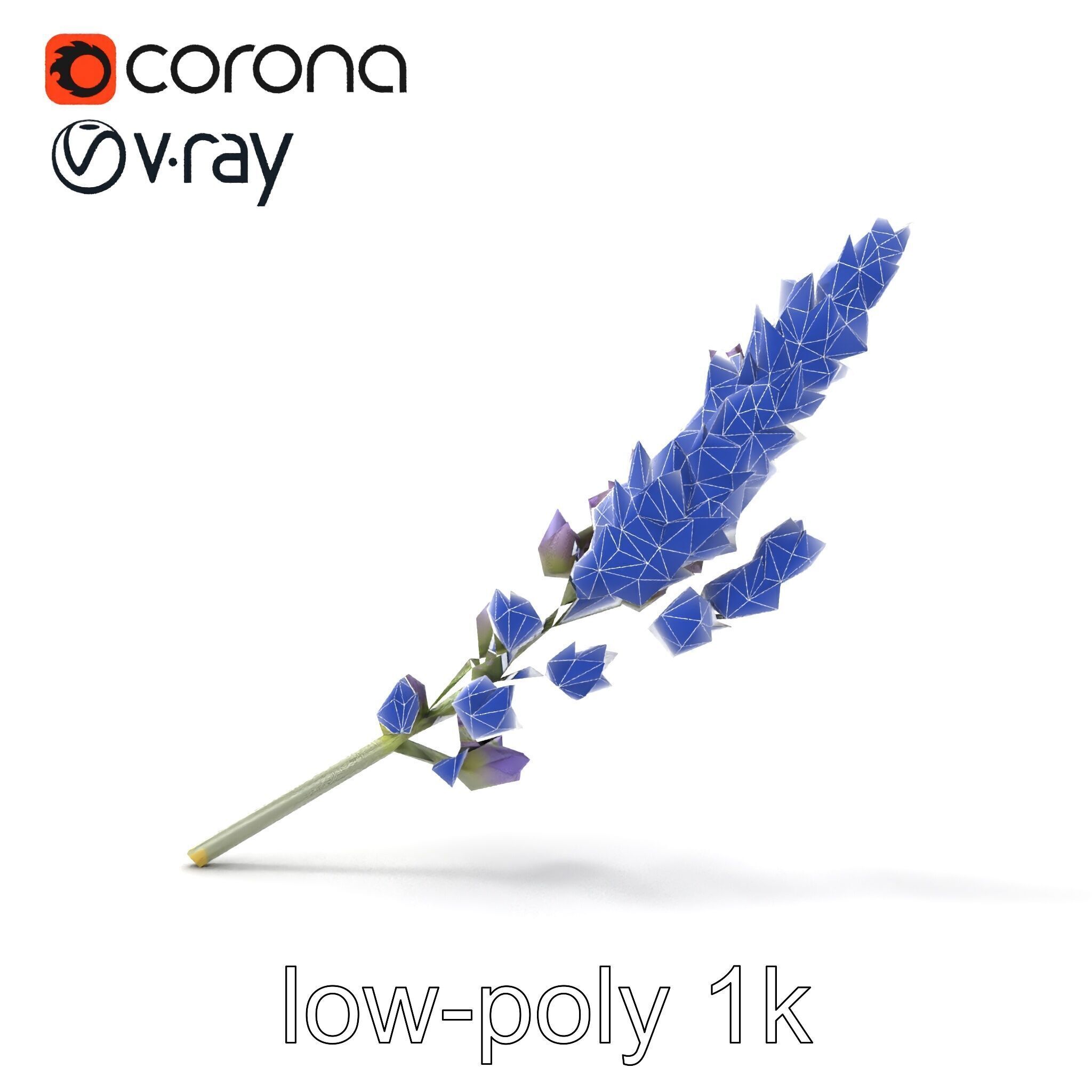 Lavender Flower Botanical Charm model pack Low-poly 3D model_23