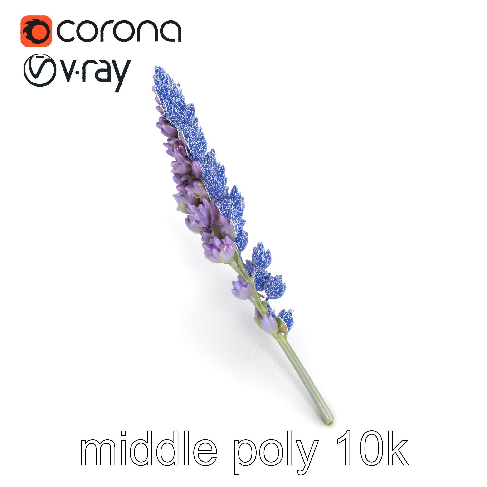 Lavender Flower Botanical Charm model pack Low-poly 3D model_12