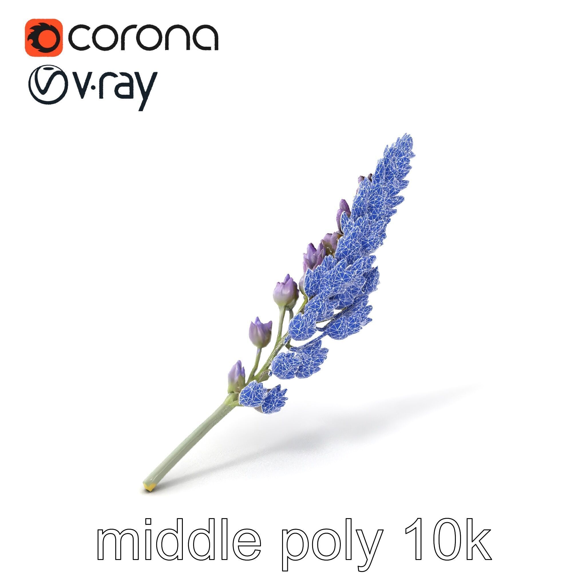 Lavender Flower Botanical Charm model pack Low-poly 3D model_6