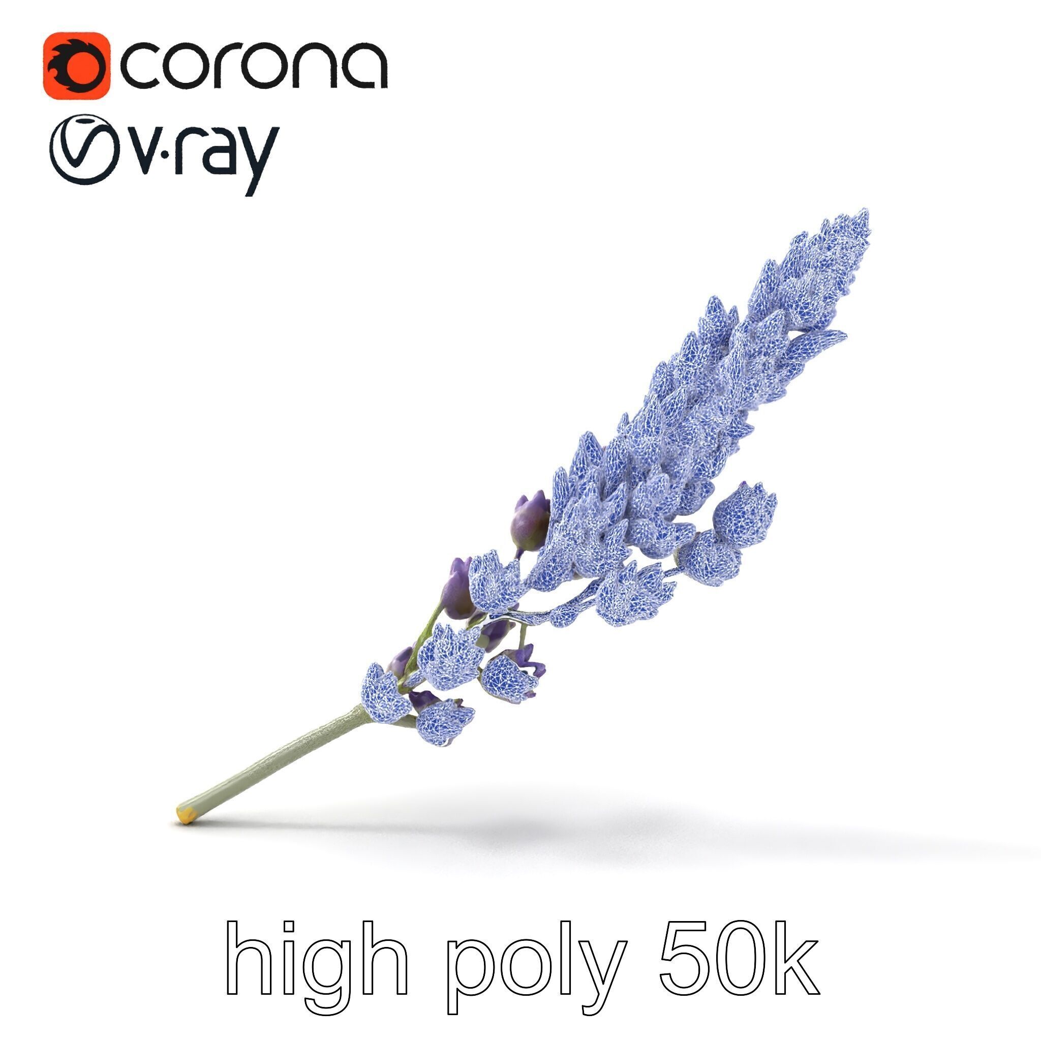 Lavender Flower Botanical Charm model pack Low-poly 3D model_30