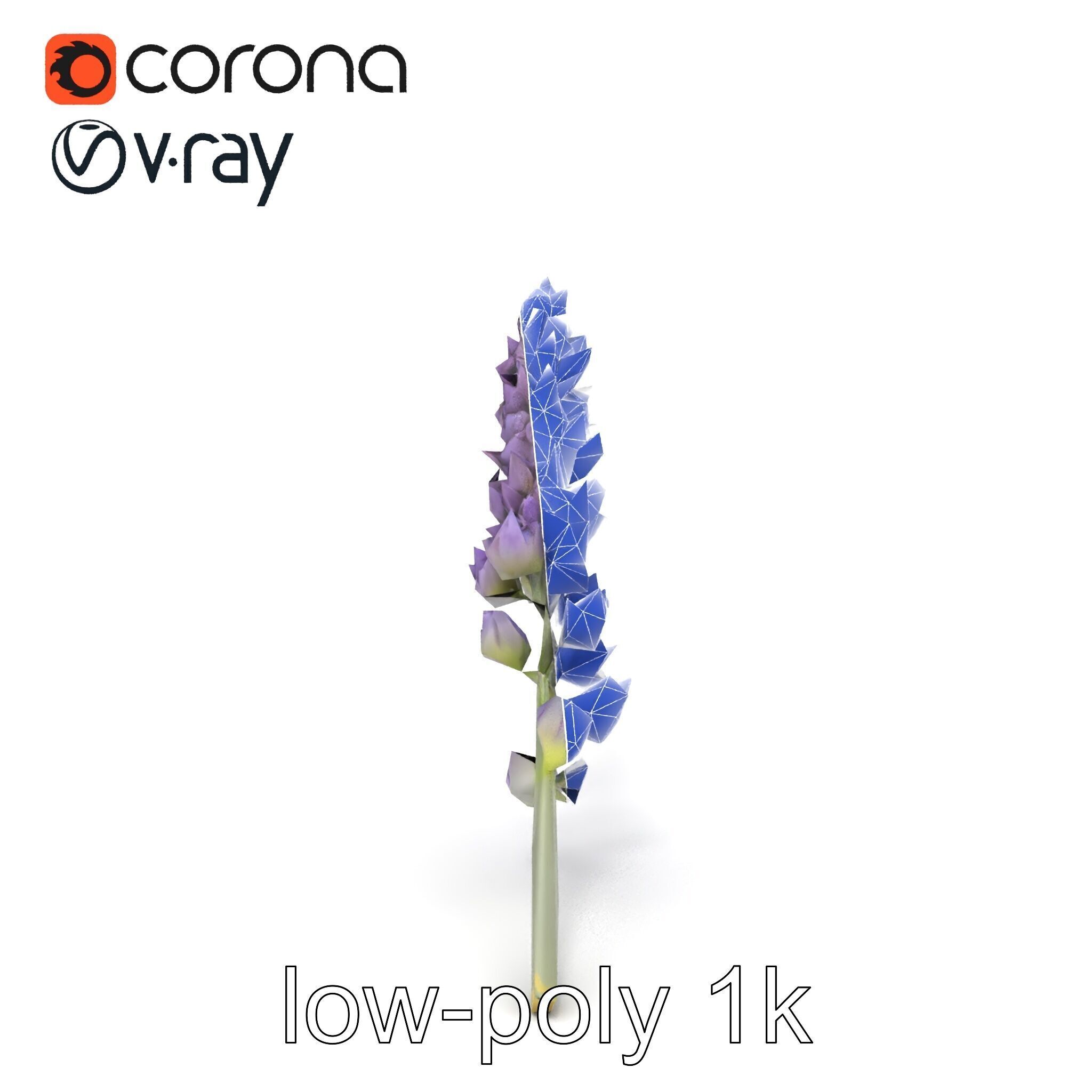 Lavender Flower Botanical Charm model pack Low-poly 3D model_25