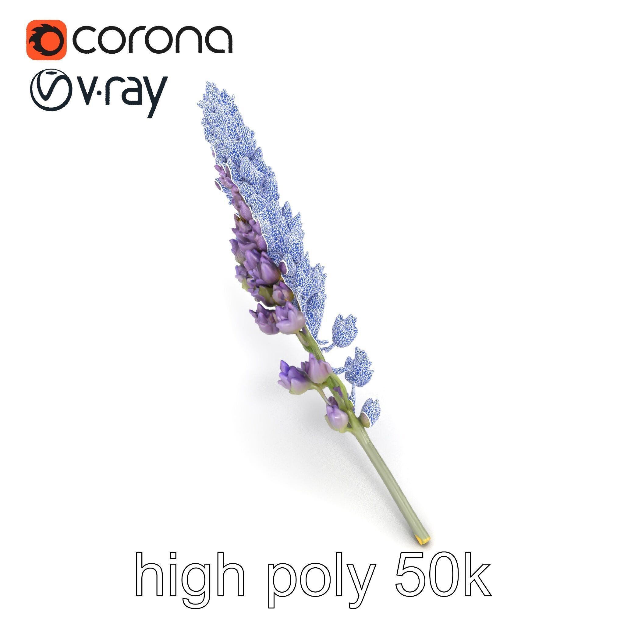 Lavender Flower Botanical Charm model pack Low-poly 3D model_29
