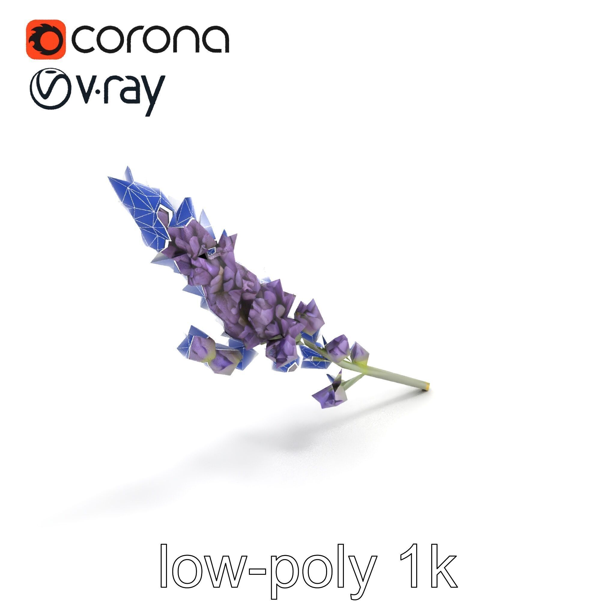 Lavender Flower Botanical Charm model pack Low-poly 3D model_14