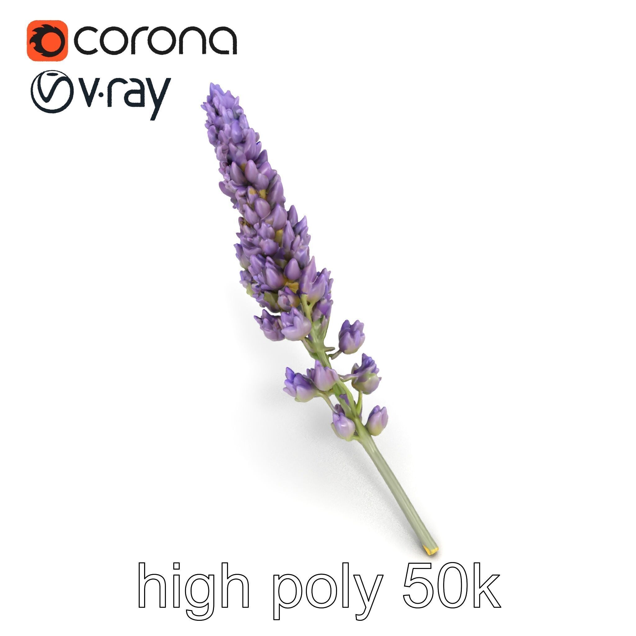 Lavender Flower Botanical Charm model pack Low-poly 3D model_20