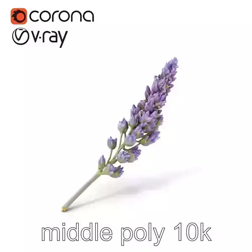 Lavender Flower Botanical Charm model pack Low-poly 3D model Lavender Flower Botanical Charm model pack Low-poly 3D model