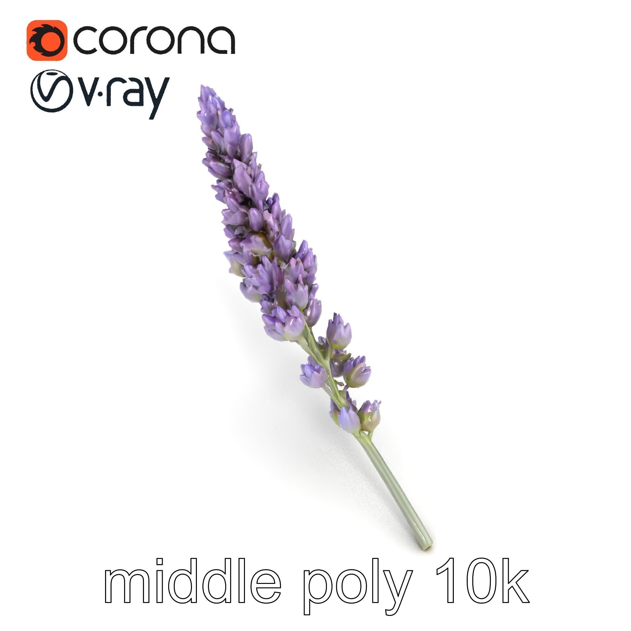 Lavender Flower Botanical Charm model pack Low-poly 3D model_19