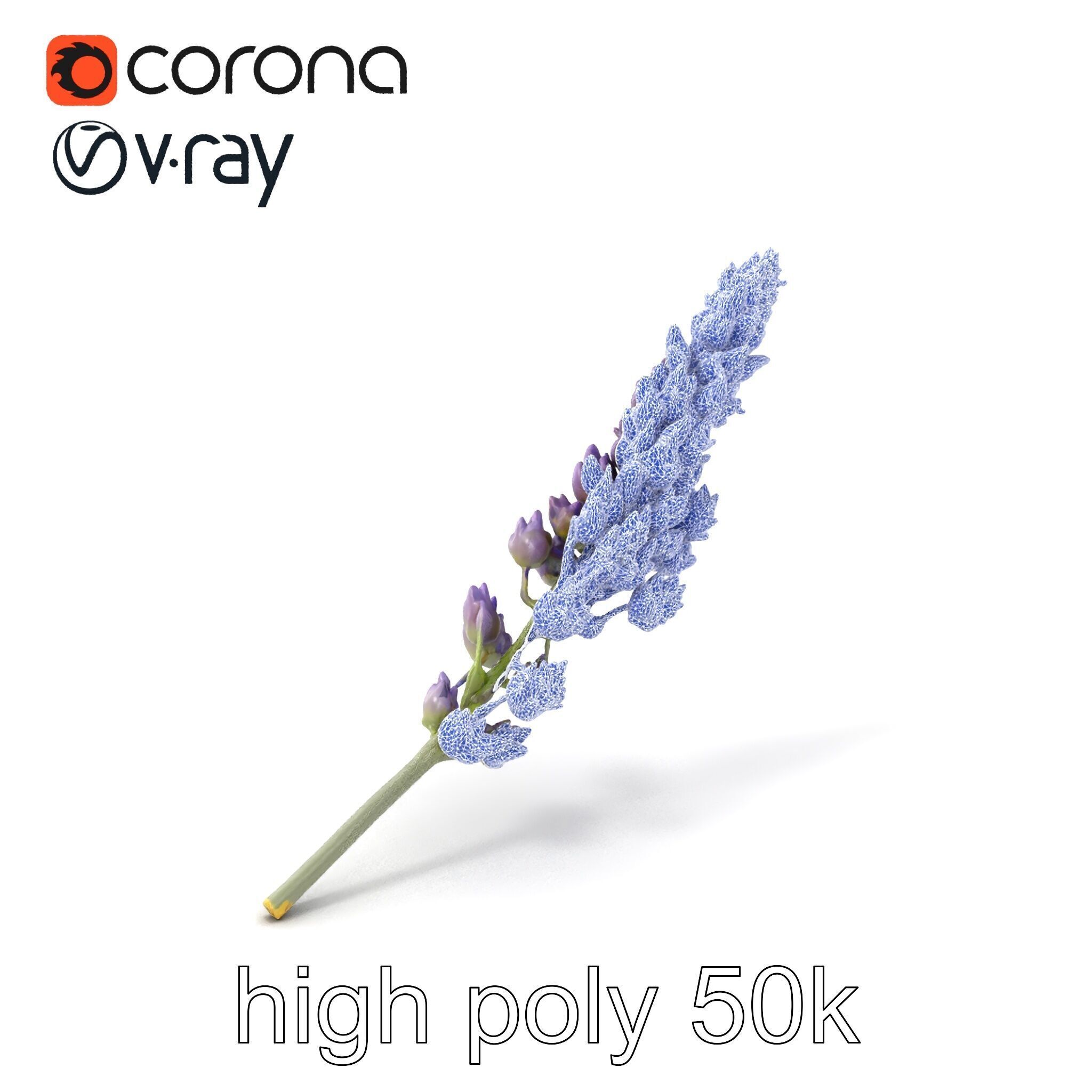 Lavender Flower Botanical Charm model pack Low-poly 3D model_10