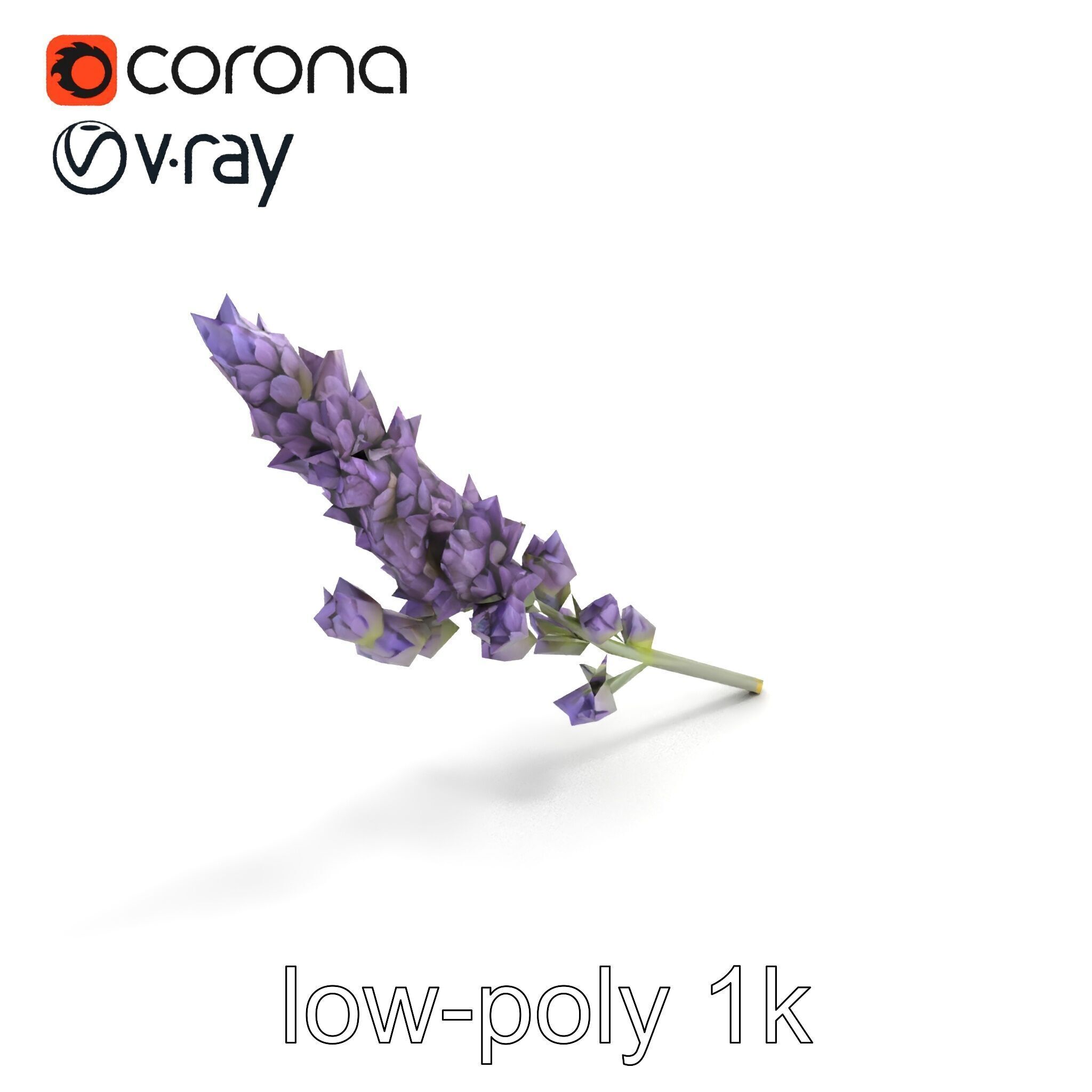 Lavender Flower Botanical Charm model pack Low-poly 3D model_9