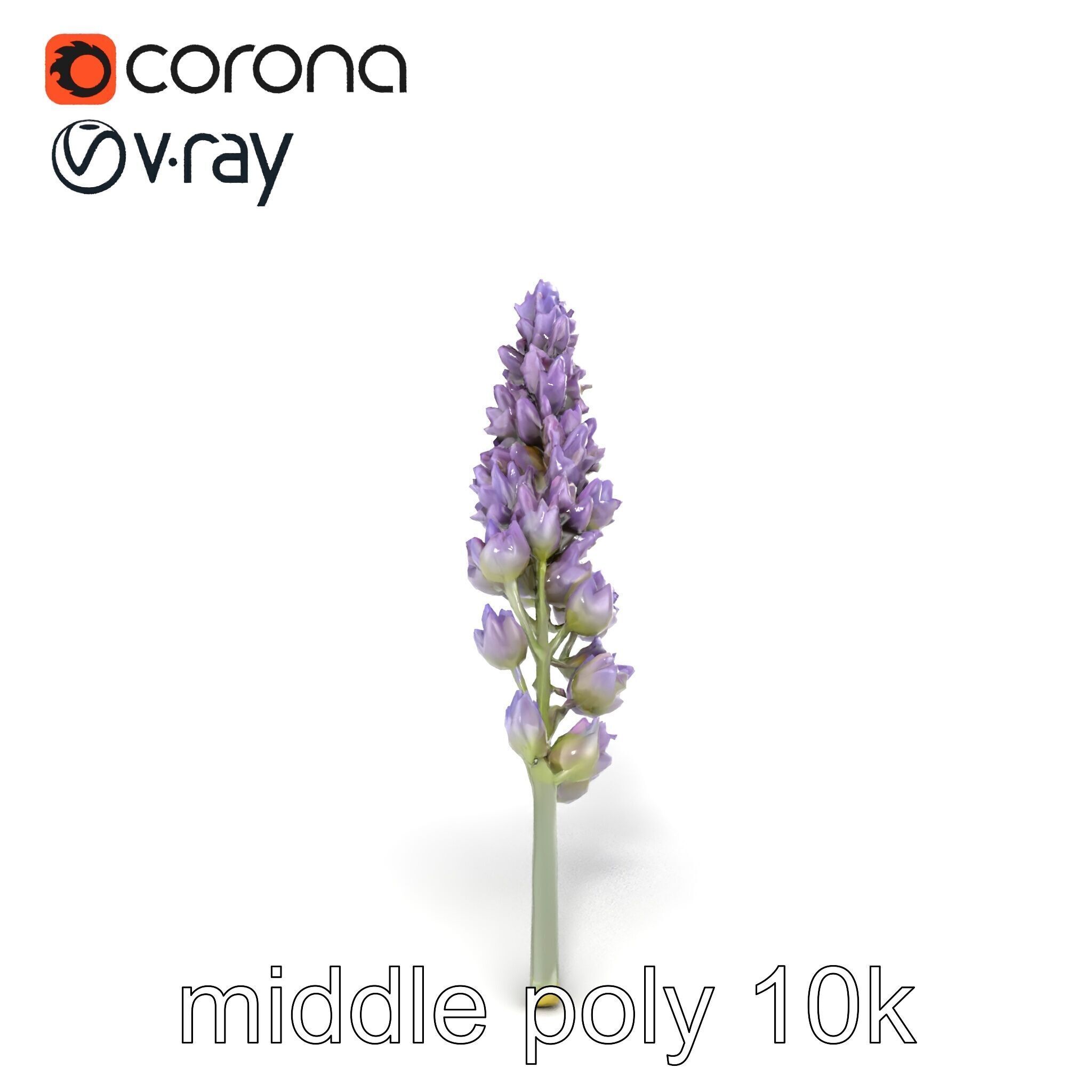 Lavender Flower Botanical Charm model pack Low-poly 3D model_22