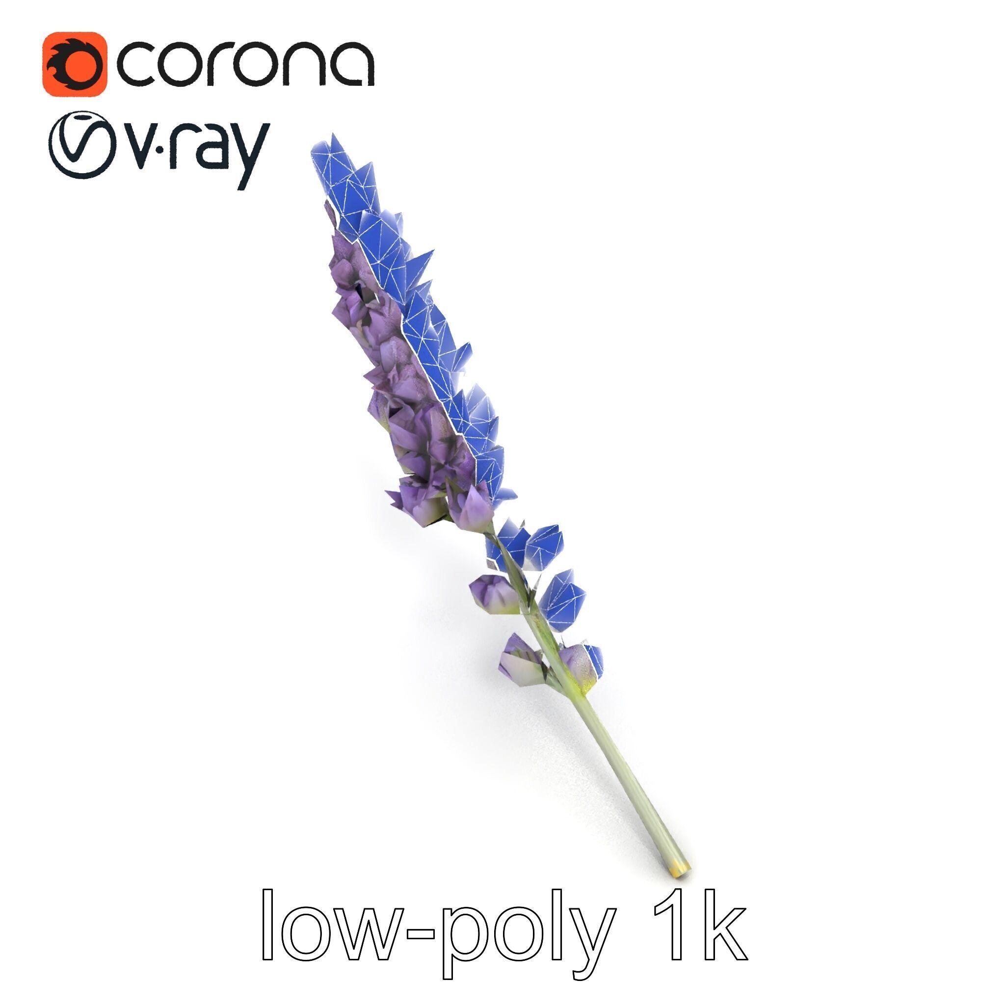 Lavender Flower Botanical Charm model pack Low-poly 3D model_18