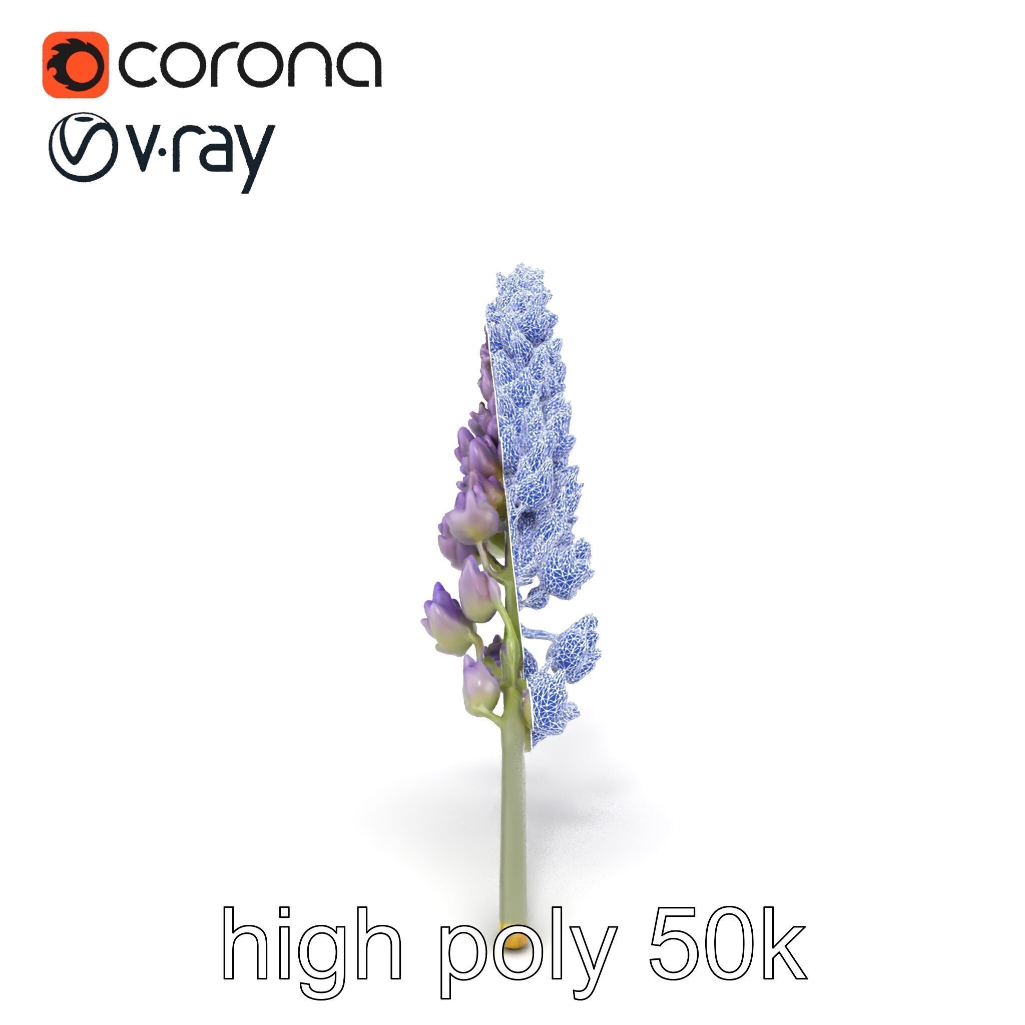 Lavender Flower Botanical Charm model pack Low-poly 3D model_28