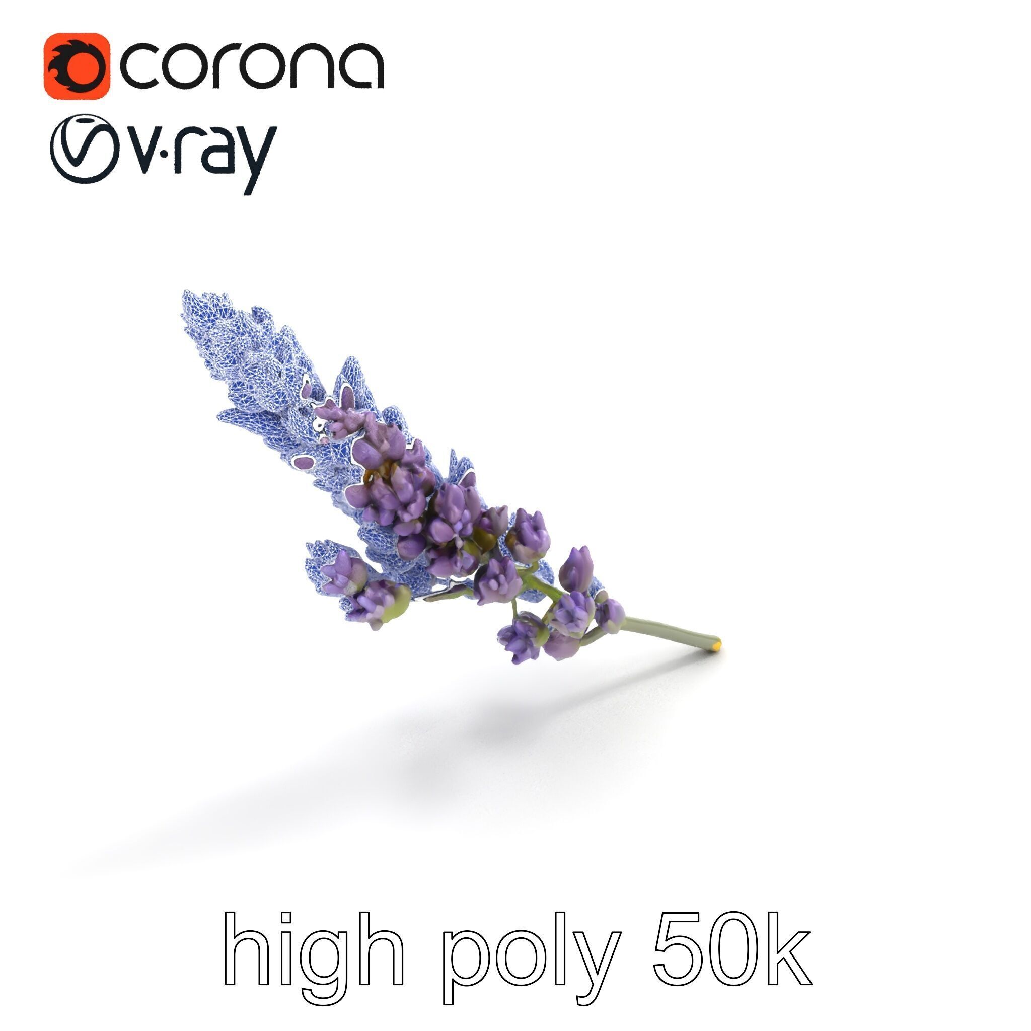 Lavender Flower Botanical Charm model pack Low-poly 3D model_21