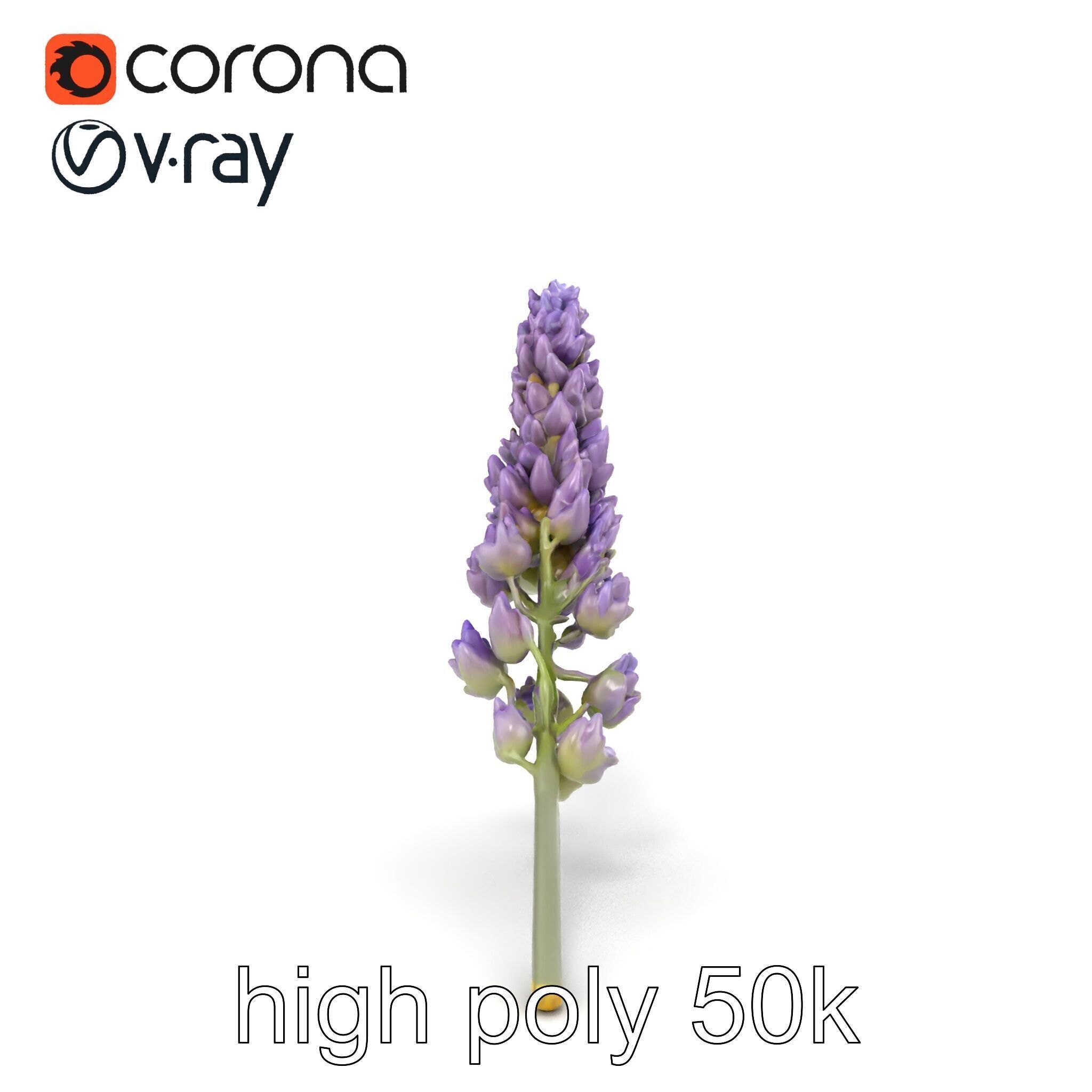 Lavender Flower Botanical Charm model pack Low-poly 3D model_24