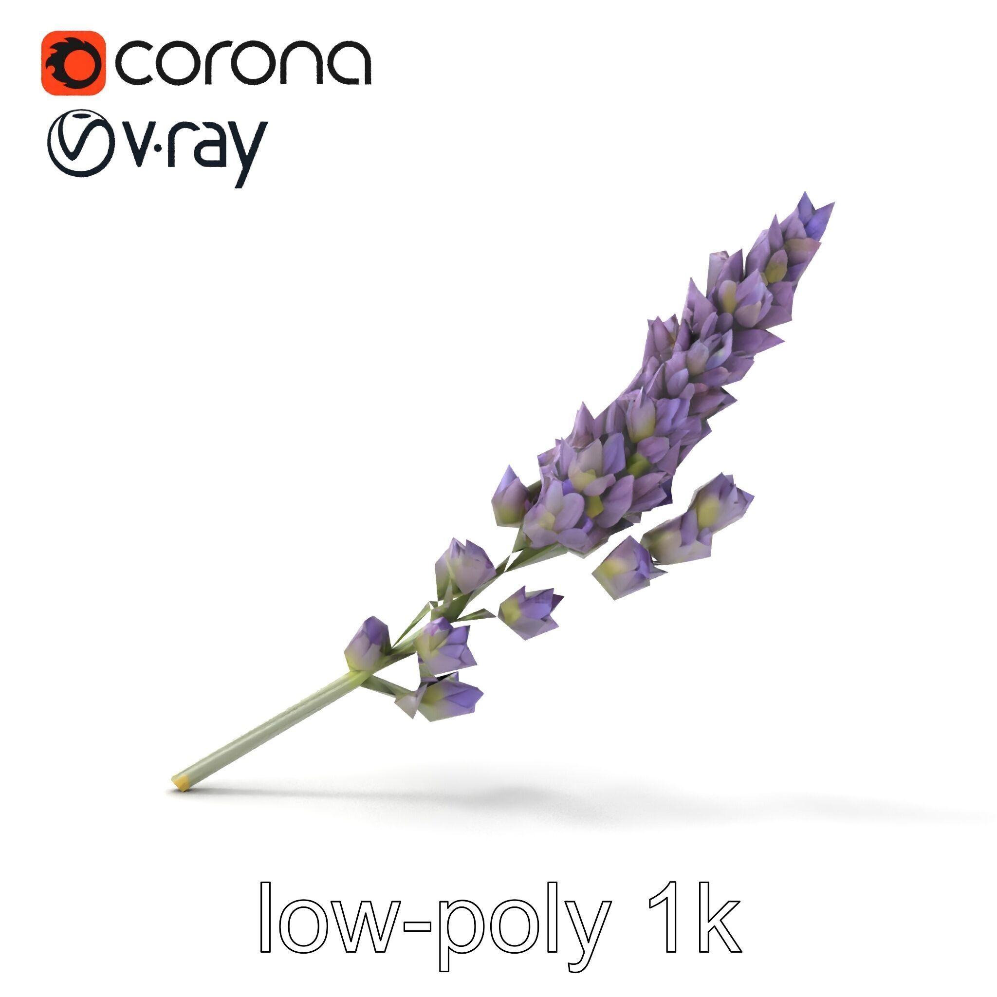 Lavender Flower Botanical Charm model pack Low-poly 3D model_13