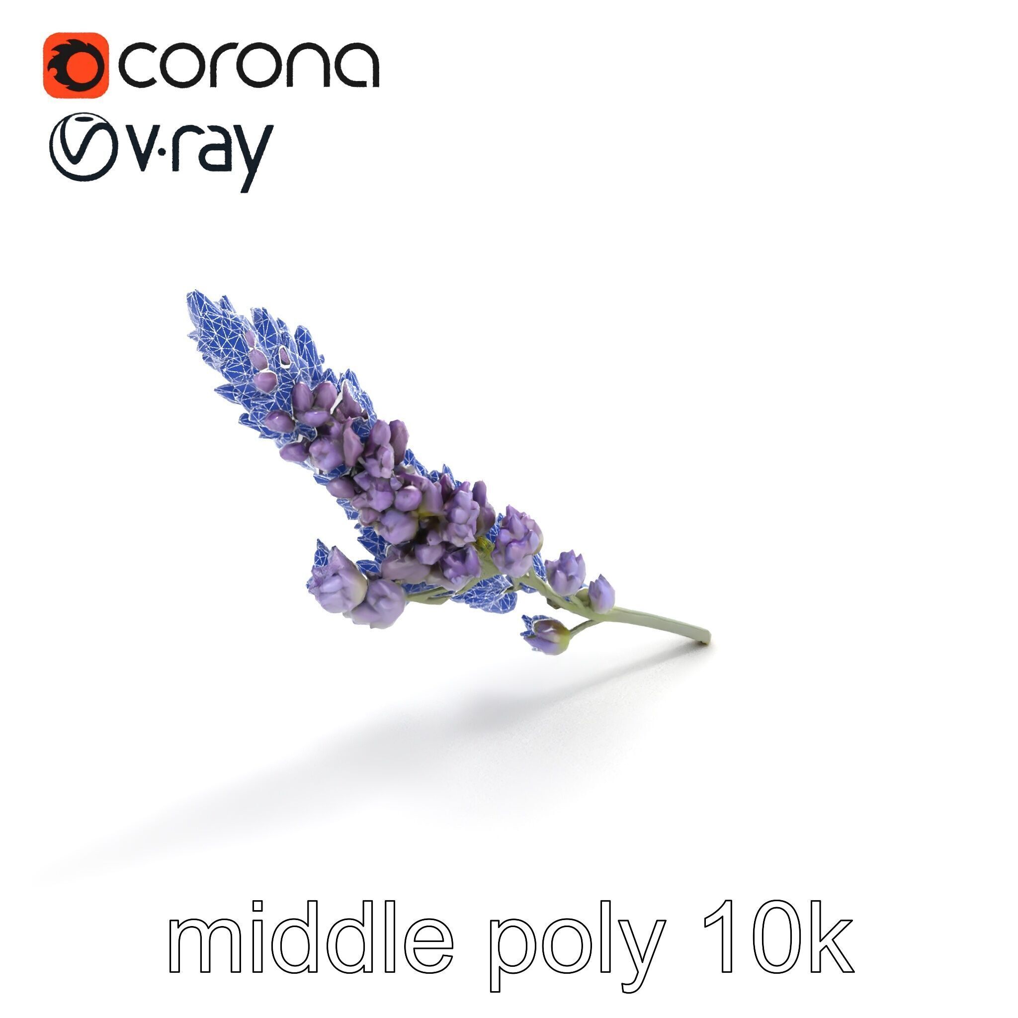 Lavender Flower Botanical Charm model pack Low-poly 3D model_16