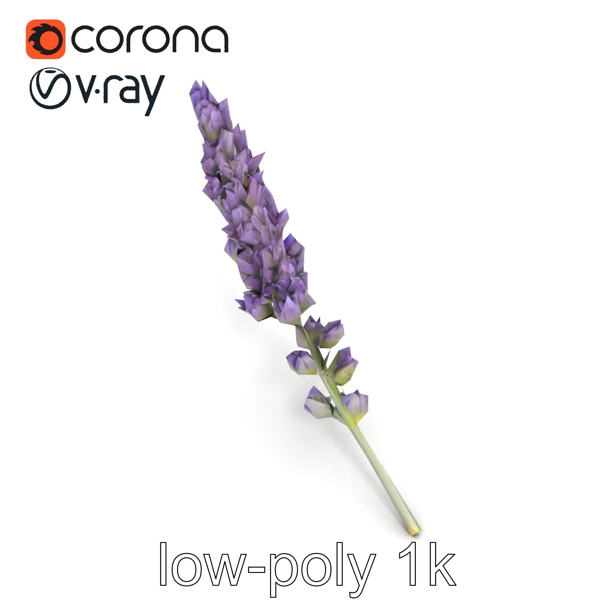Lavender Flower Botanical Charm model pack Low-poly 3D model_17