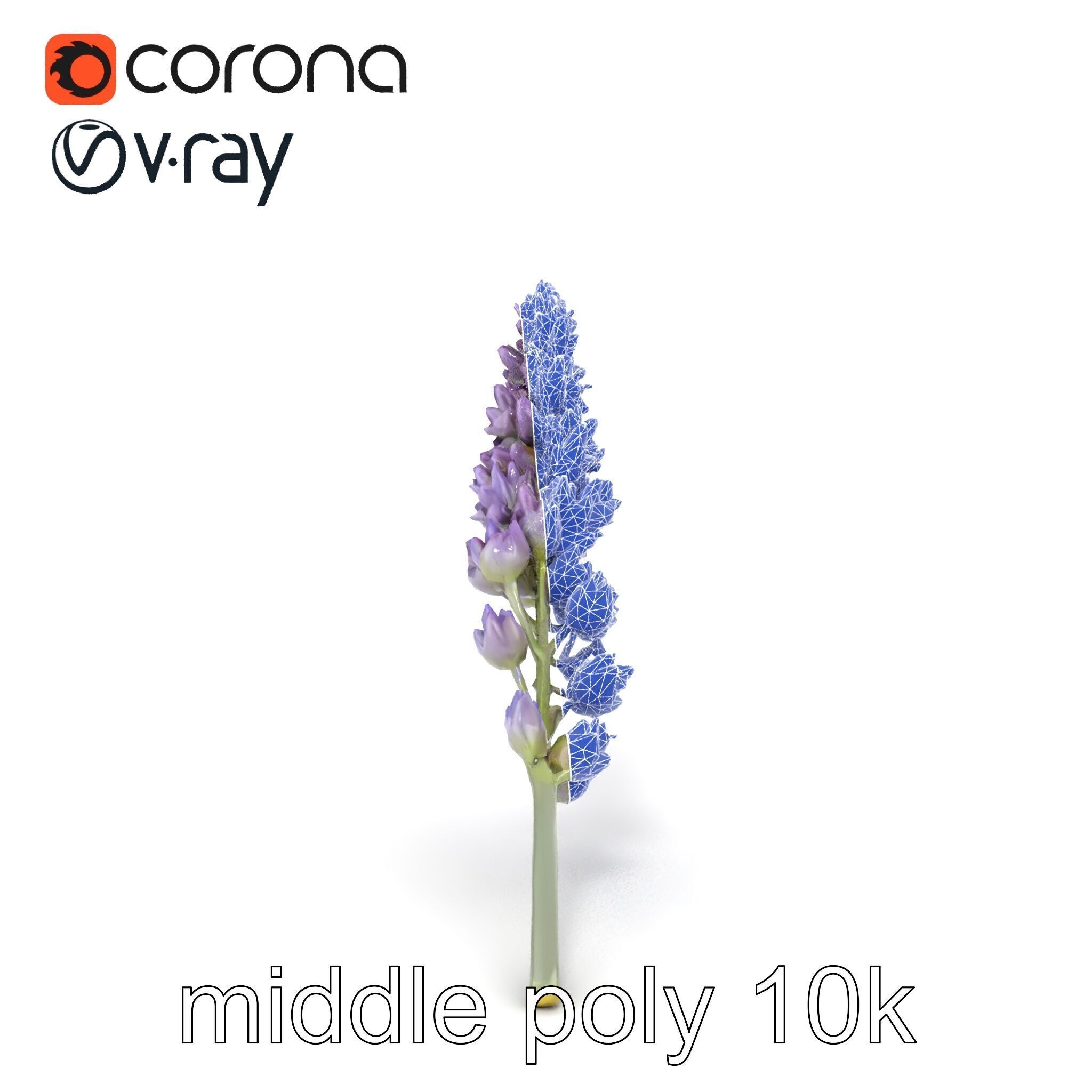 Lavender Flower Botanical Charm model pack Low-poly 3D model_26