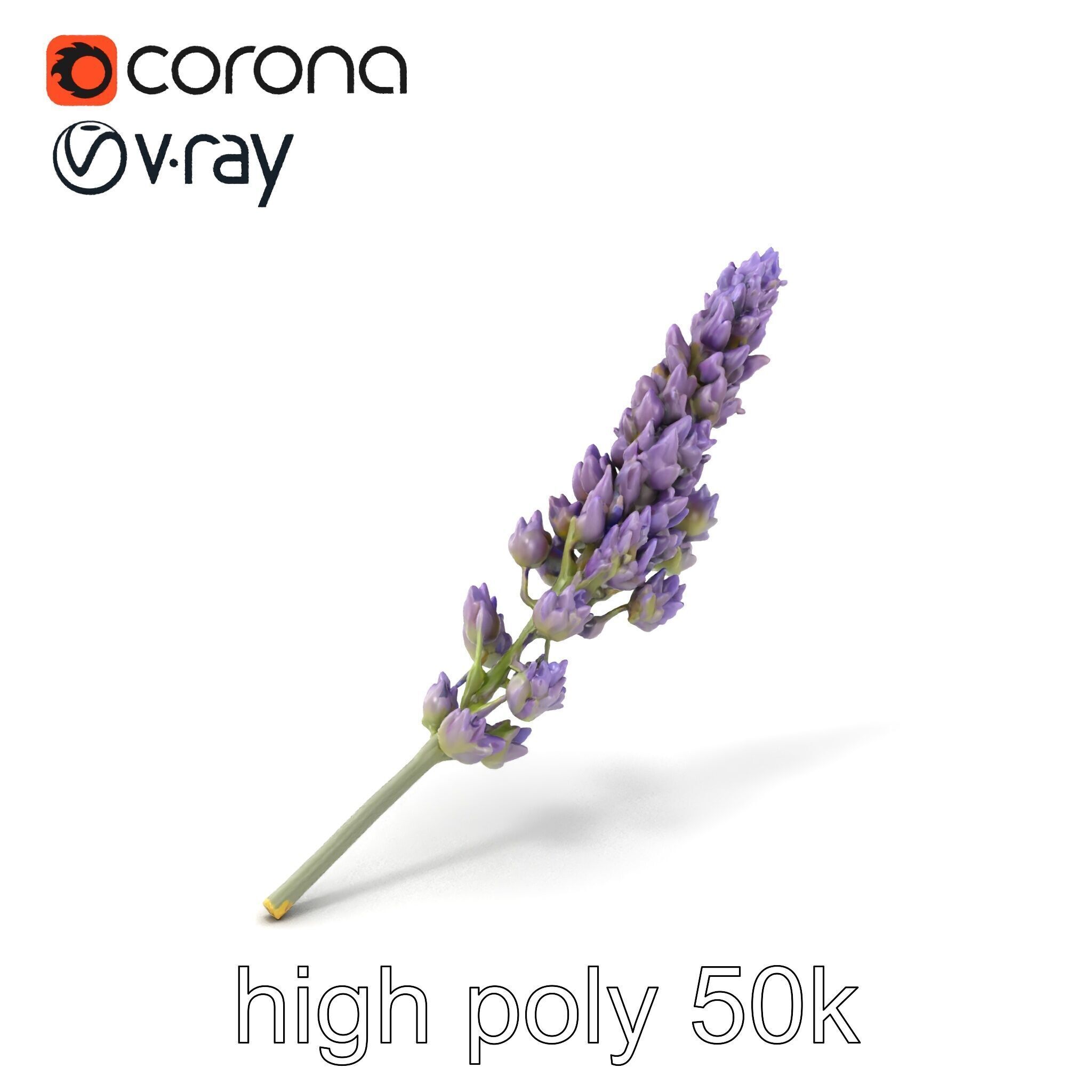 Lavender Flower Botanical Charm model pack Low-poly 3D model_2
