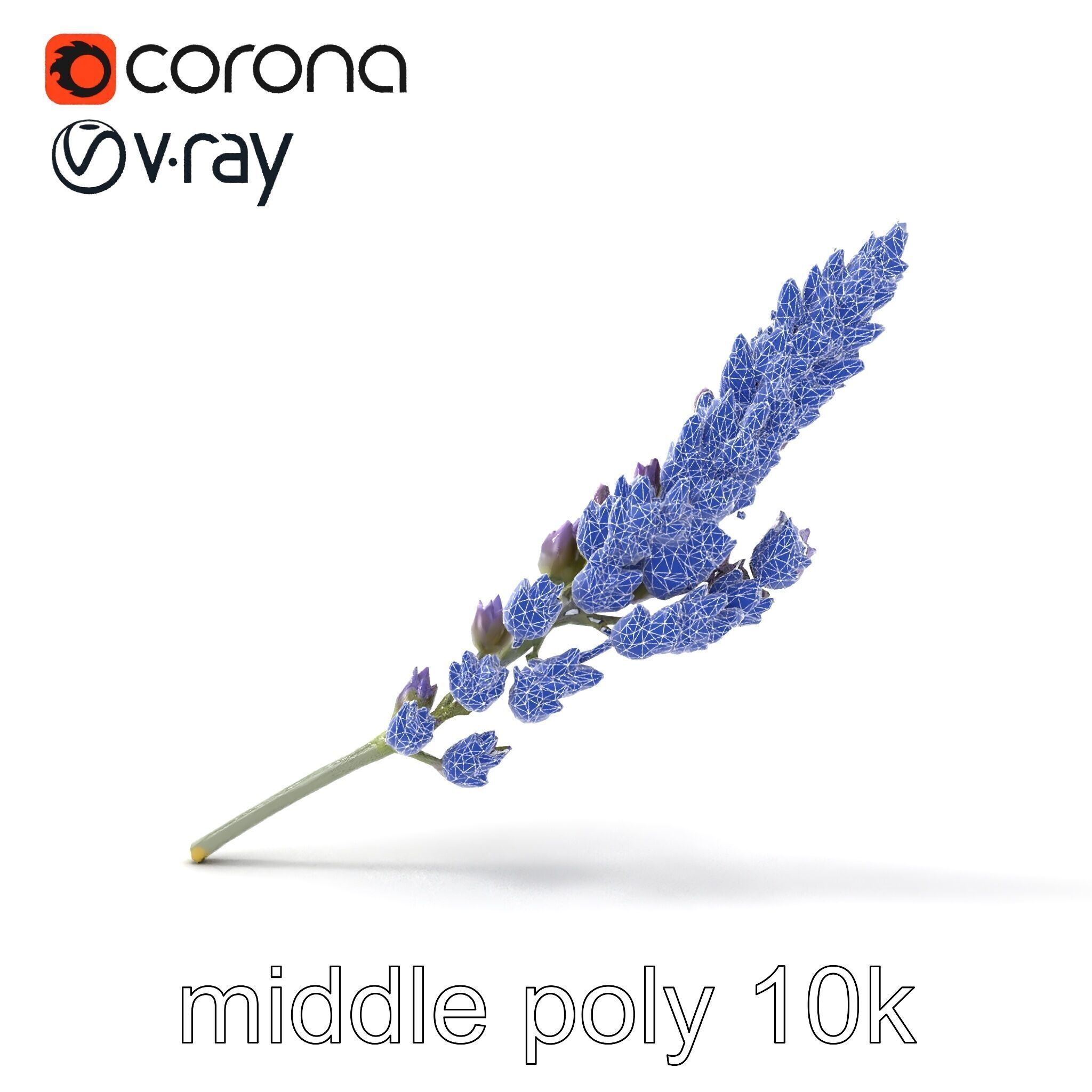 Lavender Flower Botanical Charm model pack Low-poly 3D model_32