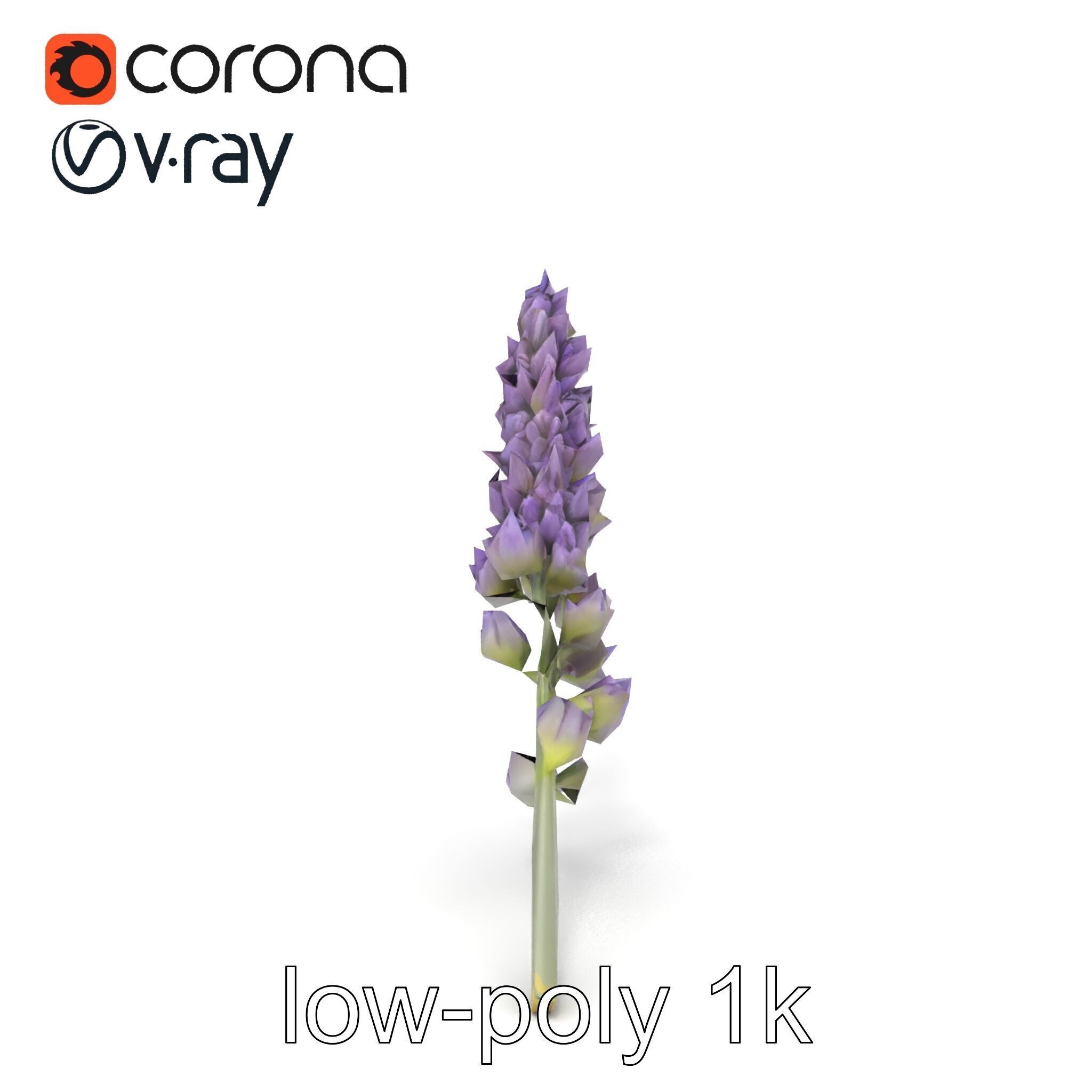 Lavender Flower Botanical Charm model pack Low-poly 3D model_31