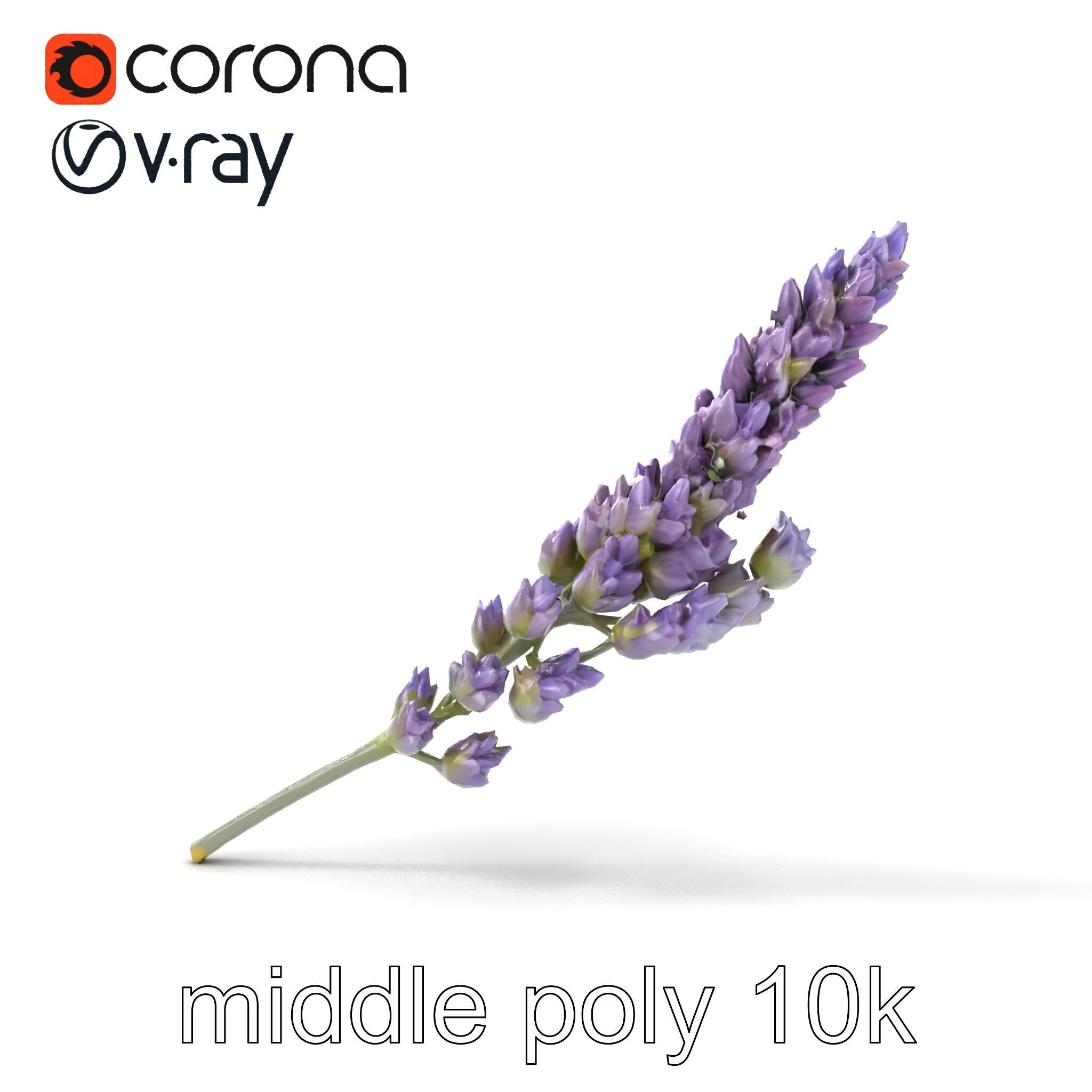 Lavender Flower Botanical Charm model pack Low-poly 3D model_15